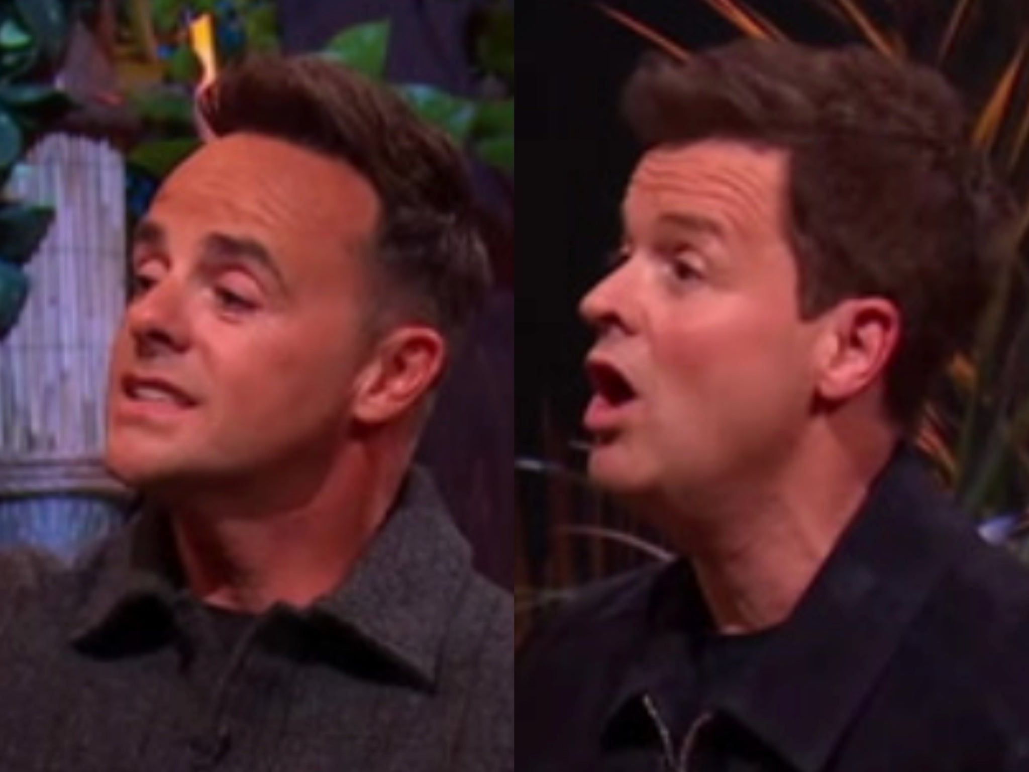 Os anfitriões Ant e Dec lutaram para manter a paz na final de 'I'm a Celebrity: South Africa'