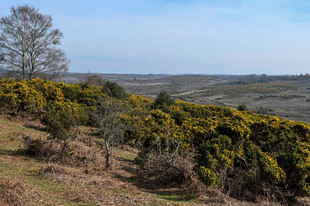 Post image 7