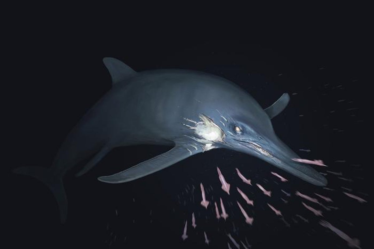 Fossil reveals 180 million-year-old dolphin-like sea monster that survived despite injuries
