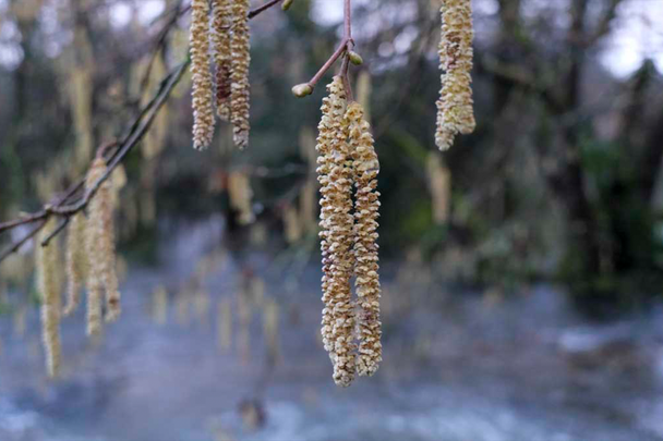 Post image 11