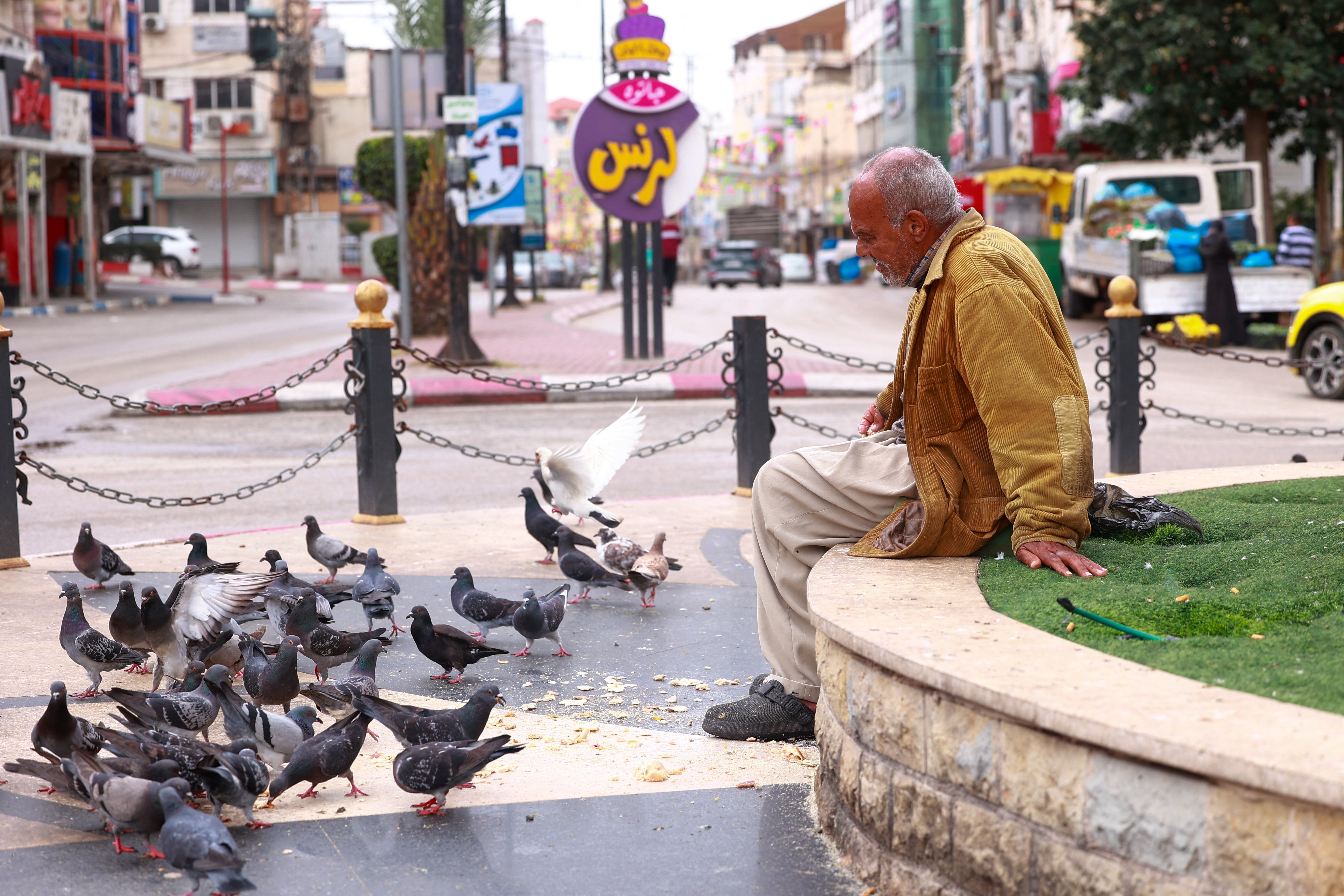 The study found that birds were able to differentiate between a man and a woman, but now how