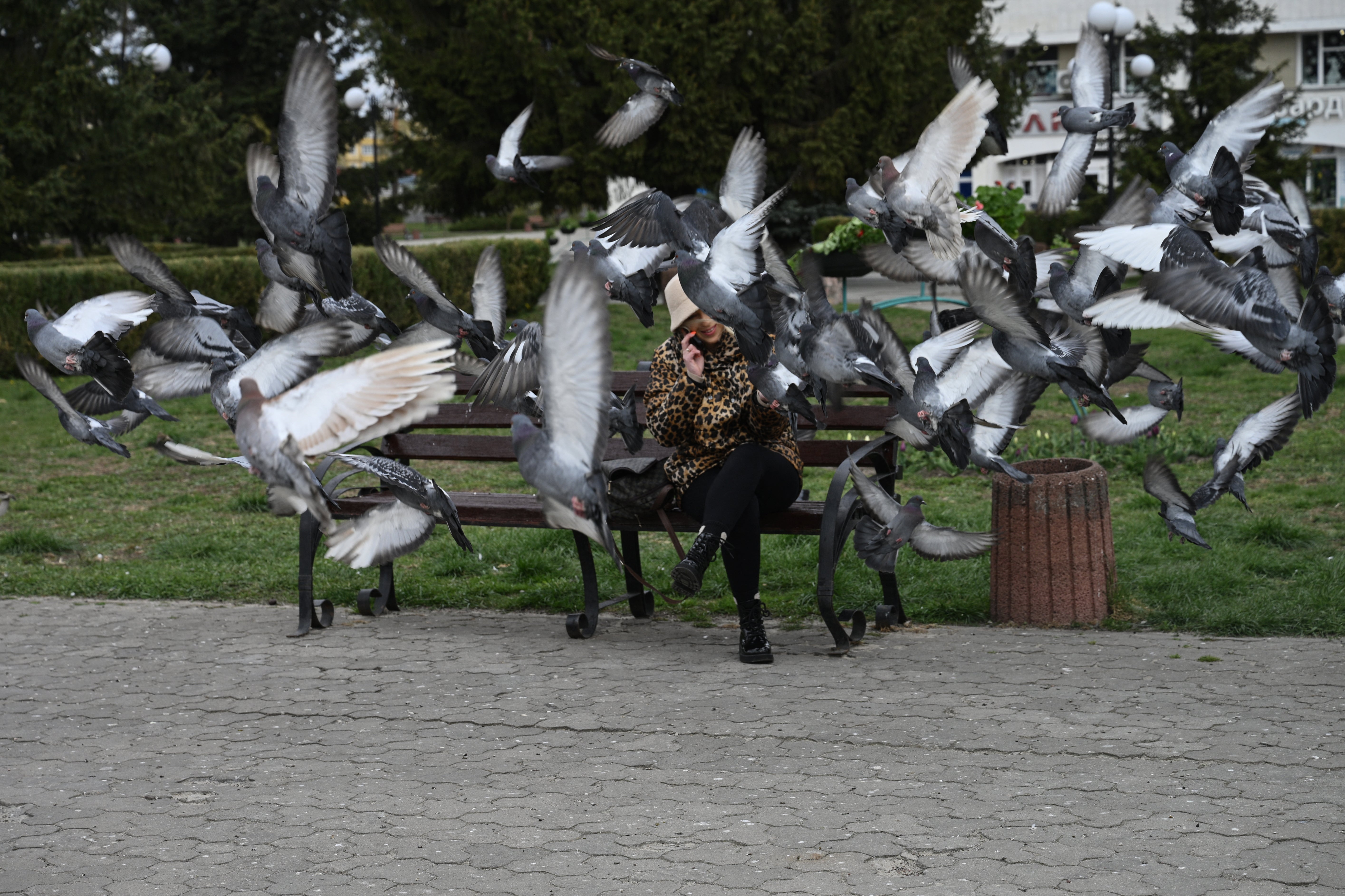 Birds consistently allowed men to get closer than women