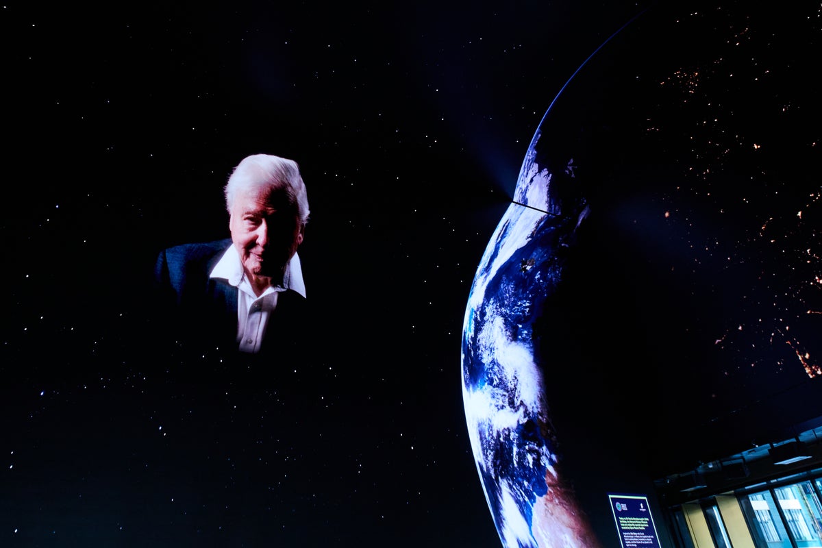 Immersive David Attenborough show to be made free for his 100th birthday