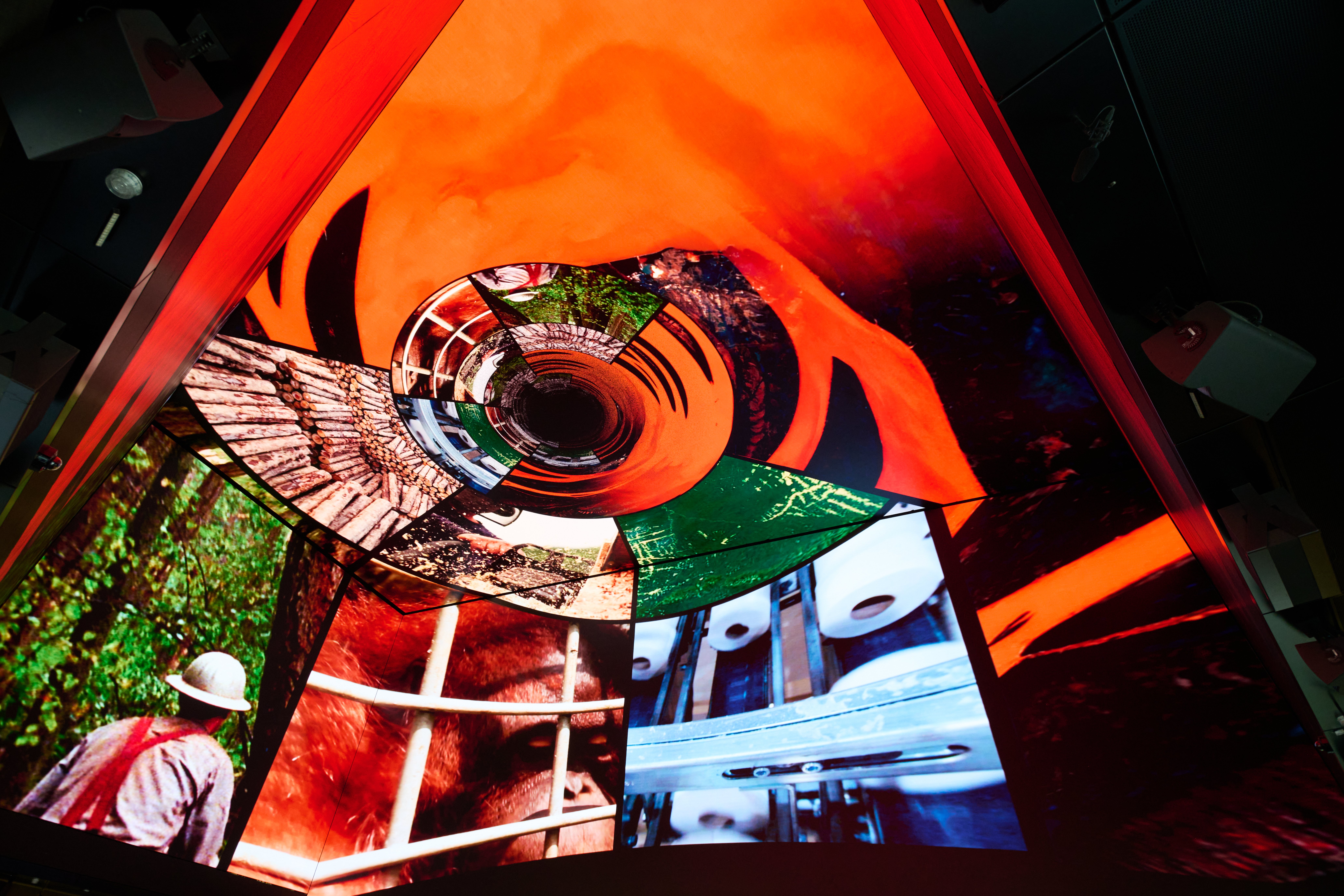 Uma experiência especial de cinco minutos, apresentada pelo renomado contador de histórias Sir David Attenborough, está programada para começar a ser reproduzida na Outernet London a partir de sexta-feira, 8 de maio.