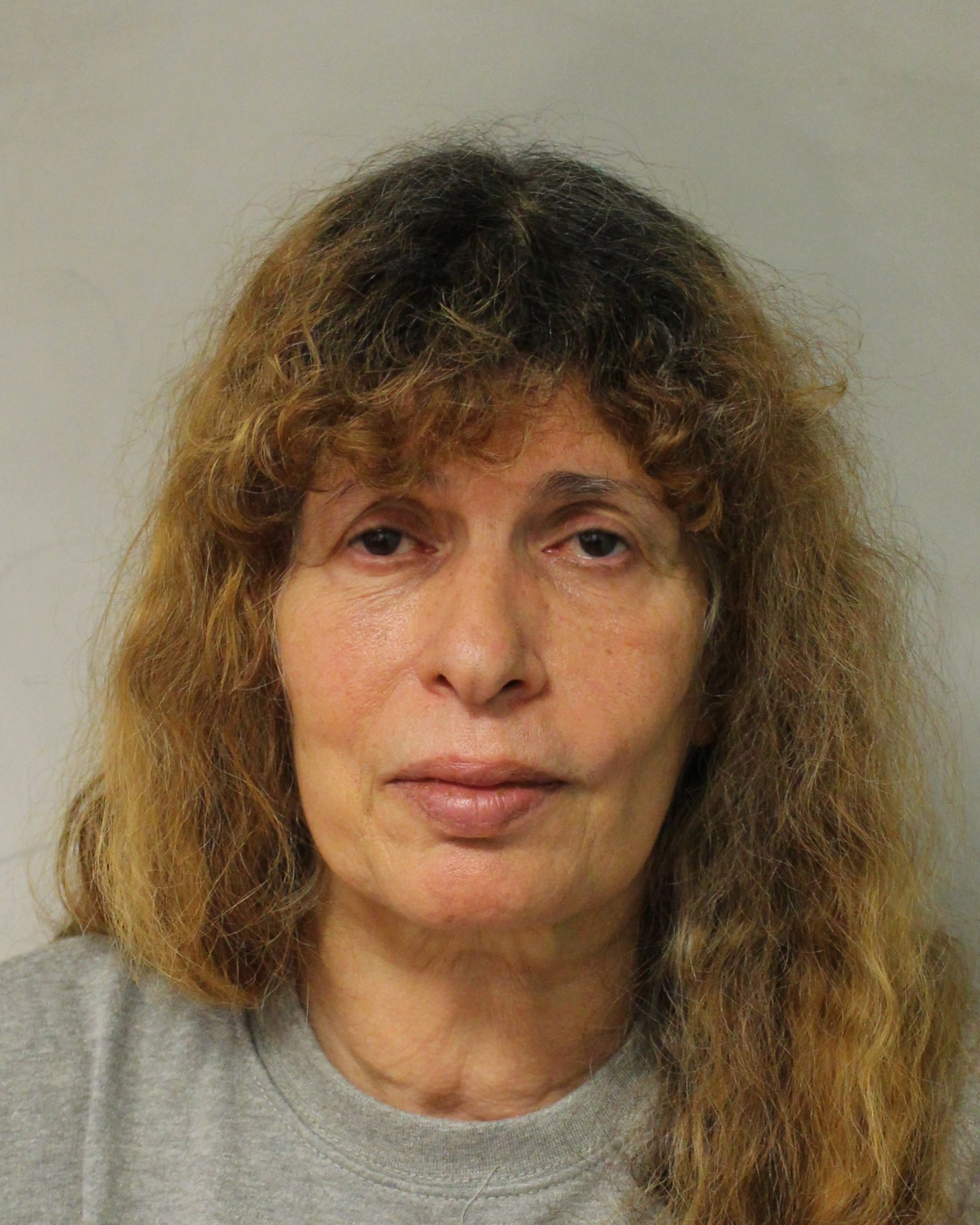 Woman jailed for brutal murder of film director sister in her Camden home