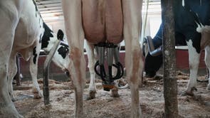 US-MED--Raw Milk-Legislation