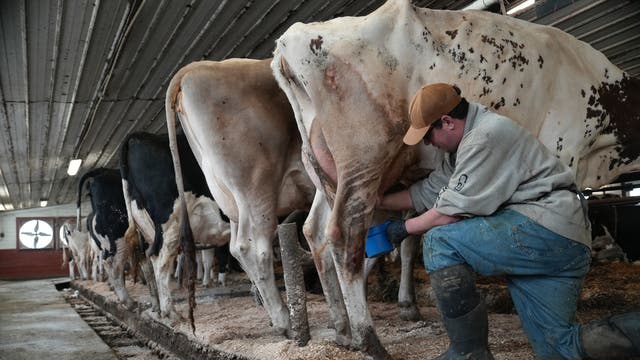 US-MED--Raw Milk-Legislation