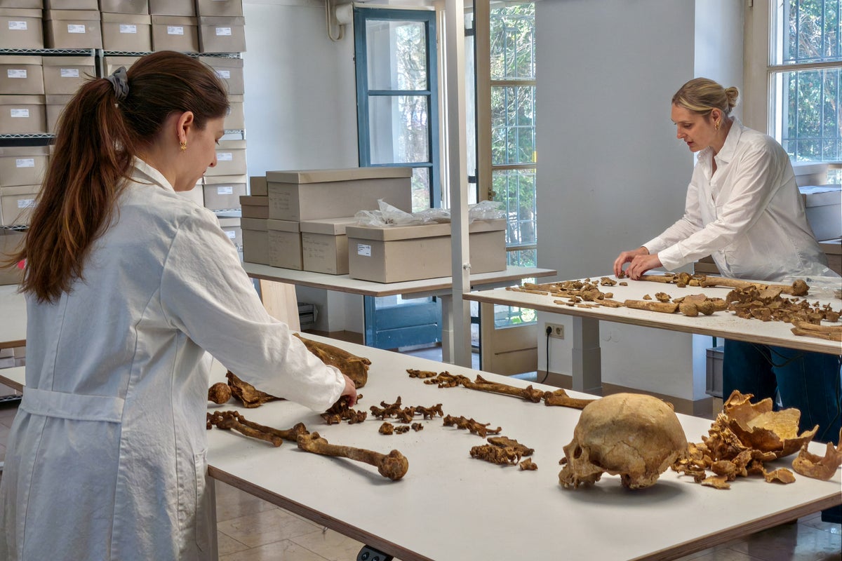 Genome study reveals secrets of the fall of the Roman Empire – UK Times