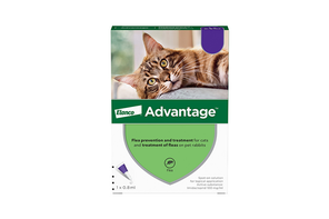 Advantage spot-on cat flea treatment