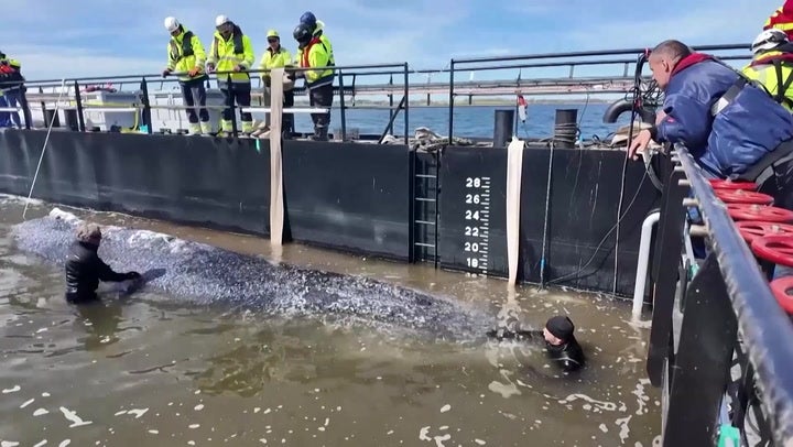 Timmy’s plight has gripped the nation’s attention in Germany