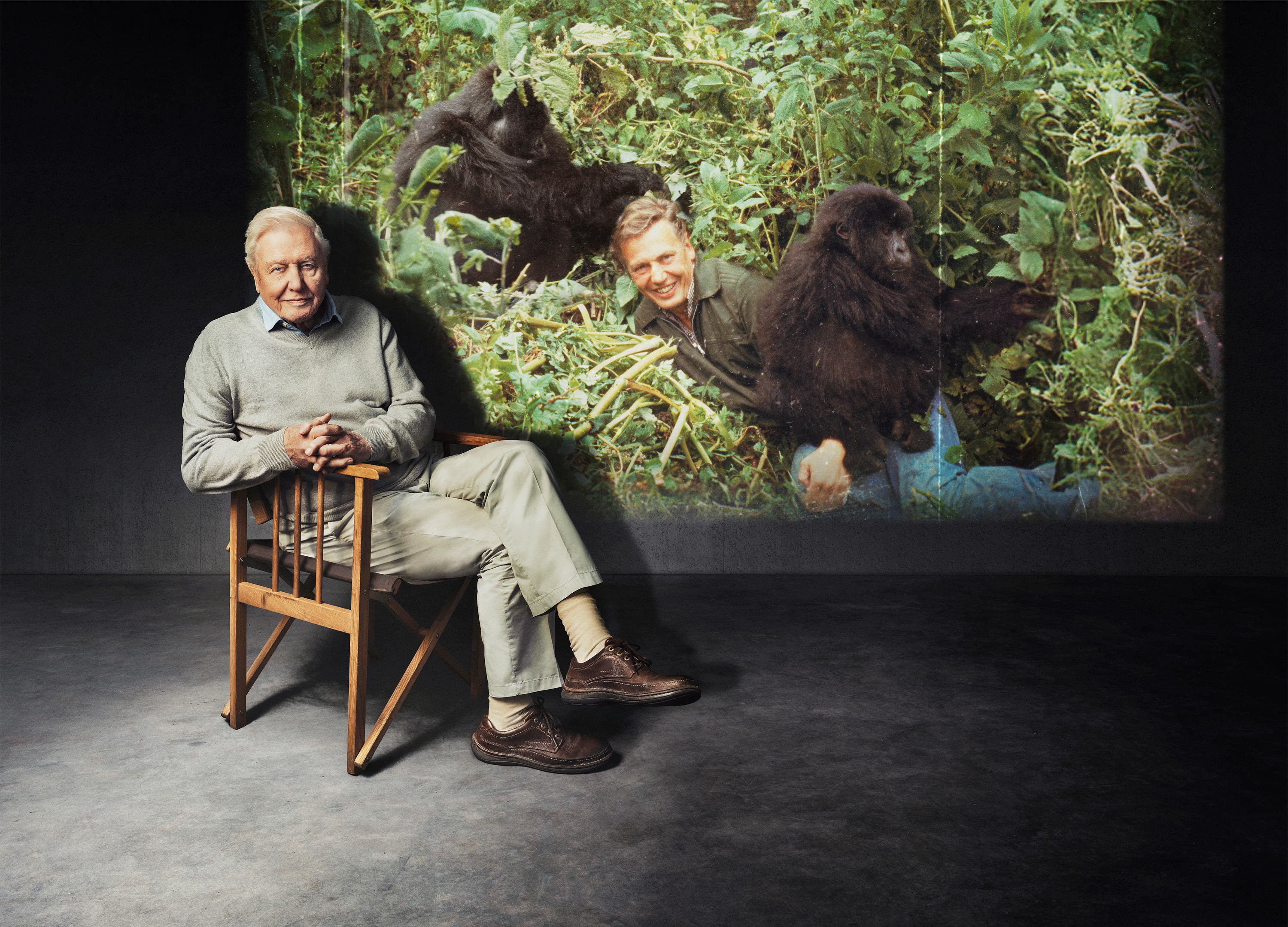 Attenborough's gorilla encounter nearly lost as Rwandan police seized film — image 4