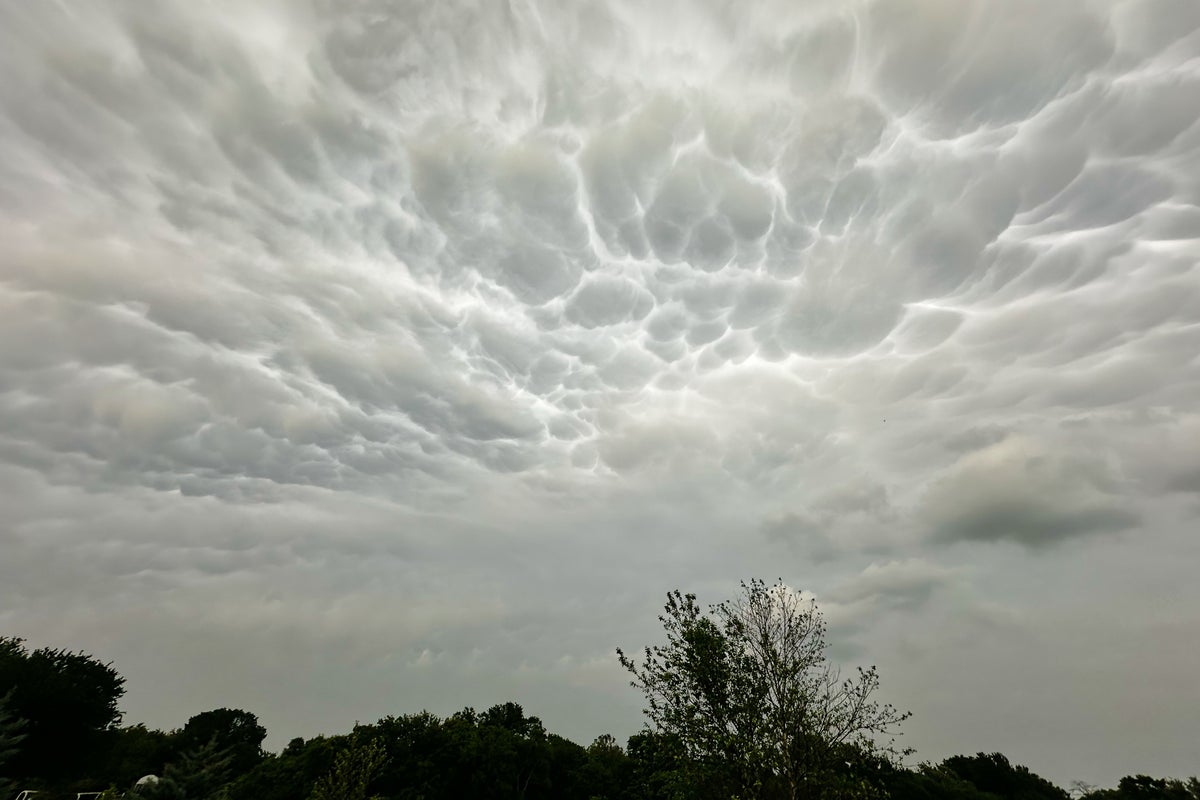 You're probably paying more for insurance lately. A new study suggests federal action to cut costs