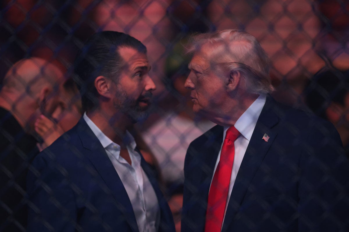 Amazon eyes Apprentice reboot with Donald Trump Jr as host