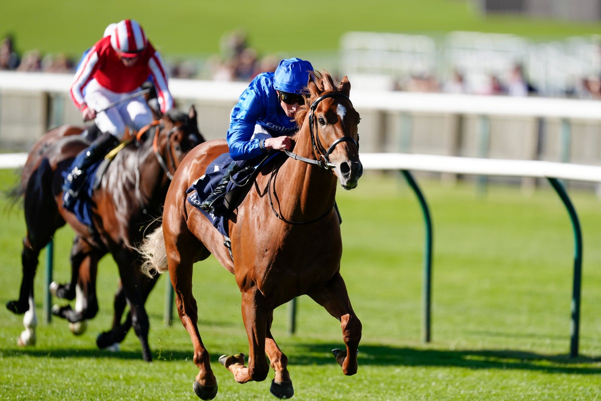 Saturday racing tips: Best bets for 2,000 Guineas Day at Newmarket