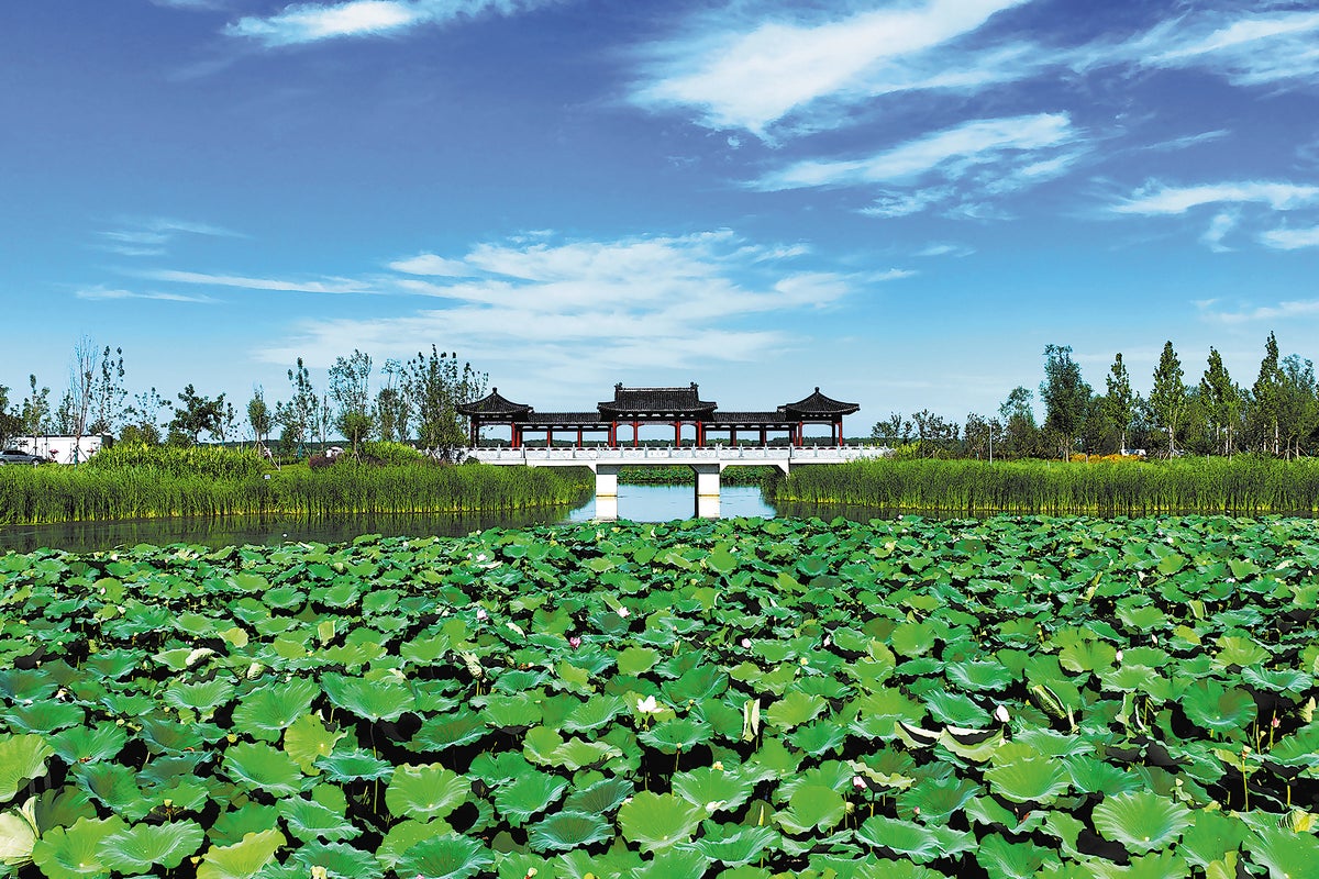 A restored lake echoes past and future together