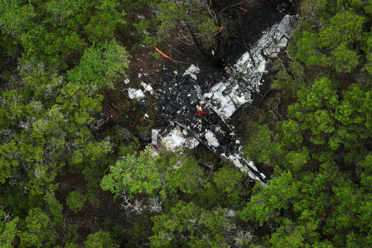 Pickleball players killed in Texas plane crash included a school tennis star, trauma counselor – UK Times