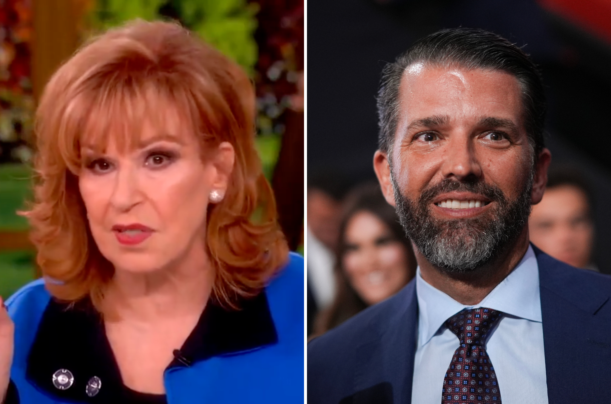 The View hosts weigh in on Donald Trump Jr’s potential Apprentice reboot