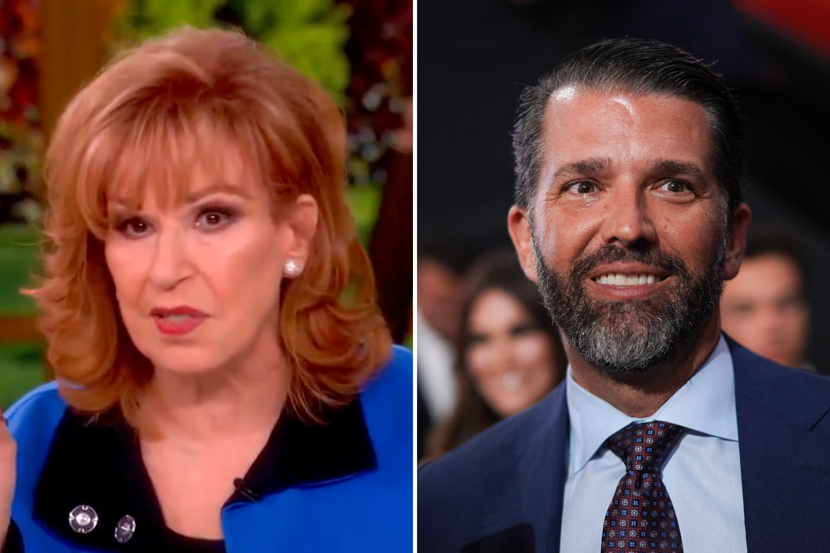 The View hosts weigh in on Donald Trump Jr’s potential Apprentice reboot: ‘Pick your train wreck’ The View hosts weigh in on Donald Trump Jr’s potential Apprentice reboot: ‘Pick your train wreck’