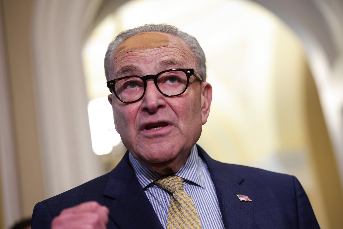 Democrats stunningly warn leader Schumer to stay out of races after Maine meltdown