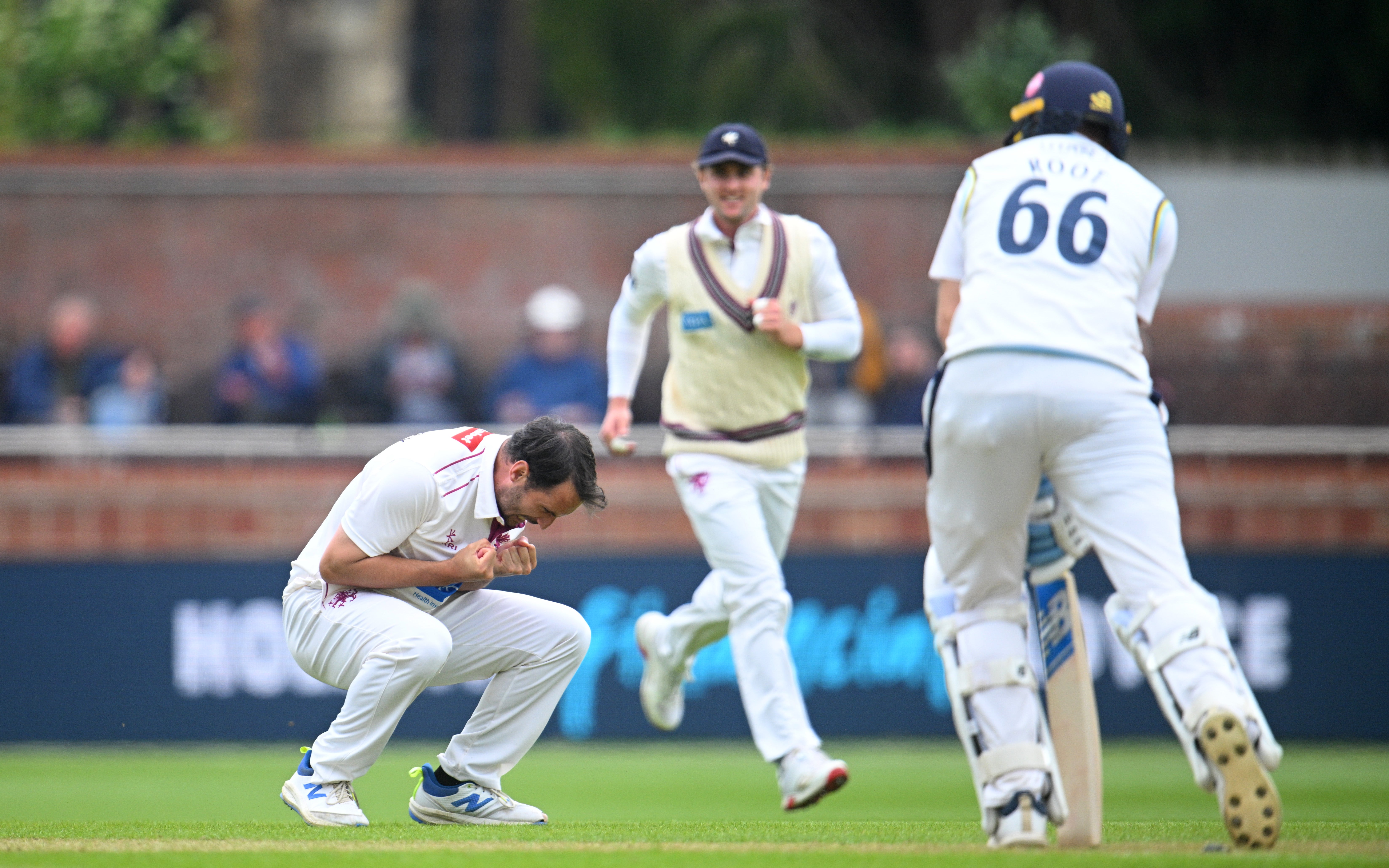 Lewis Gregory knocked over Joe Root on his way to a six-for at Taunton