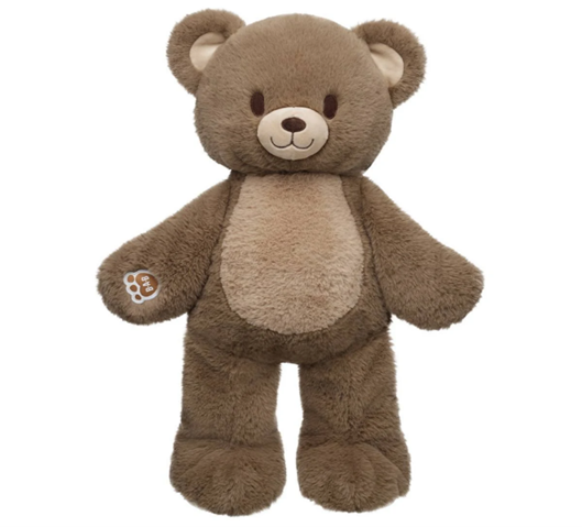 The recalled Heartwarming Hugs Bears were sold from January 2026 through March 2026 by Build-A-Bear Workshop