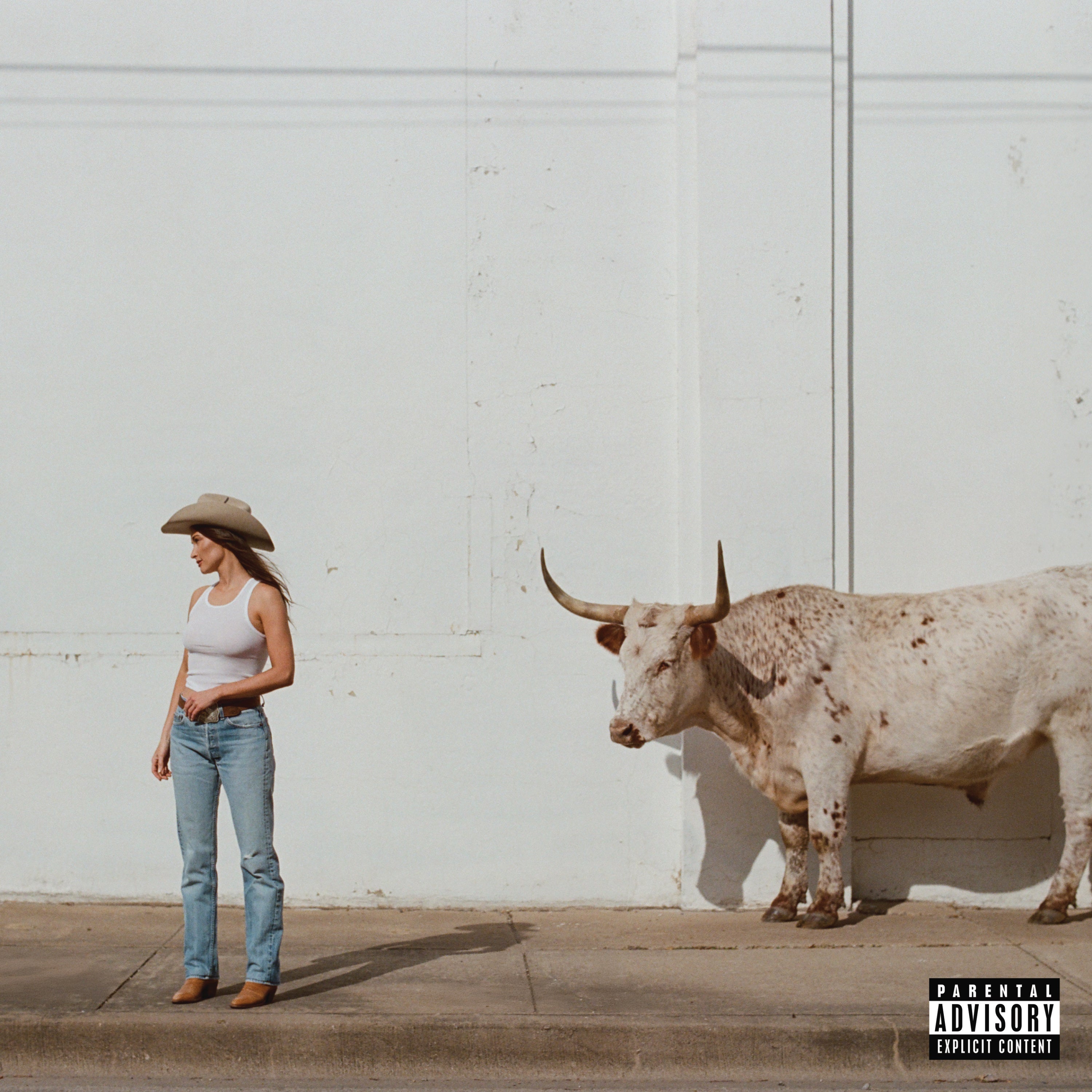 RESEÑA-KACEY MUSGRAVES