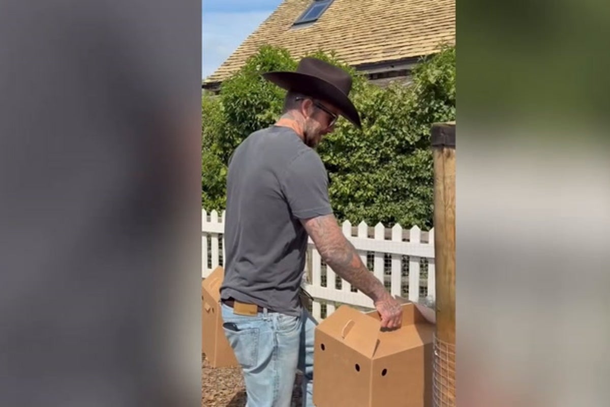 Victoria Beckham gifts David unique birthday present from ‘the boys’ and Harper