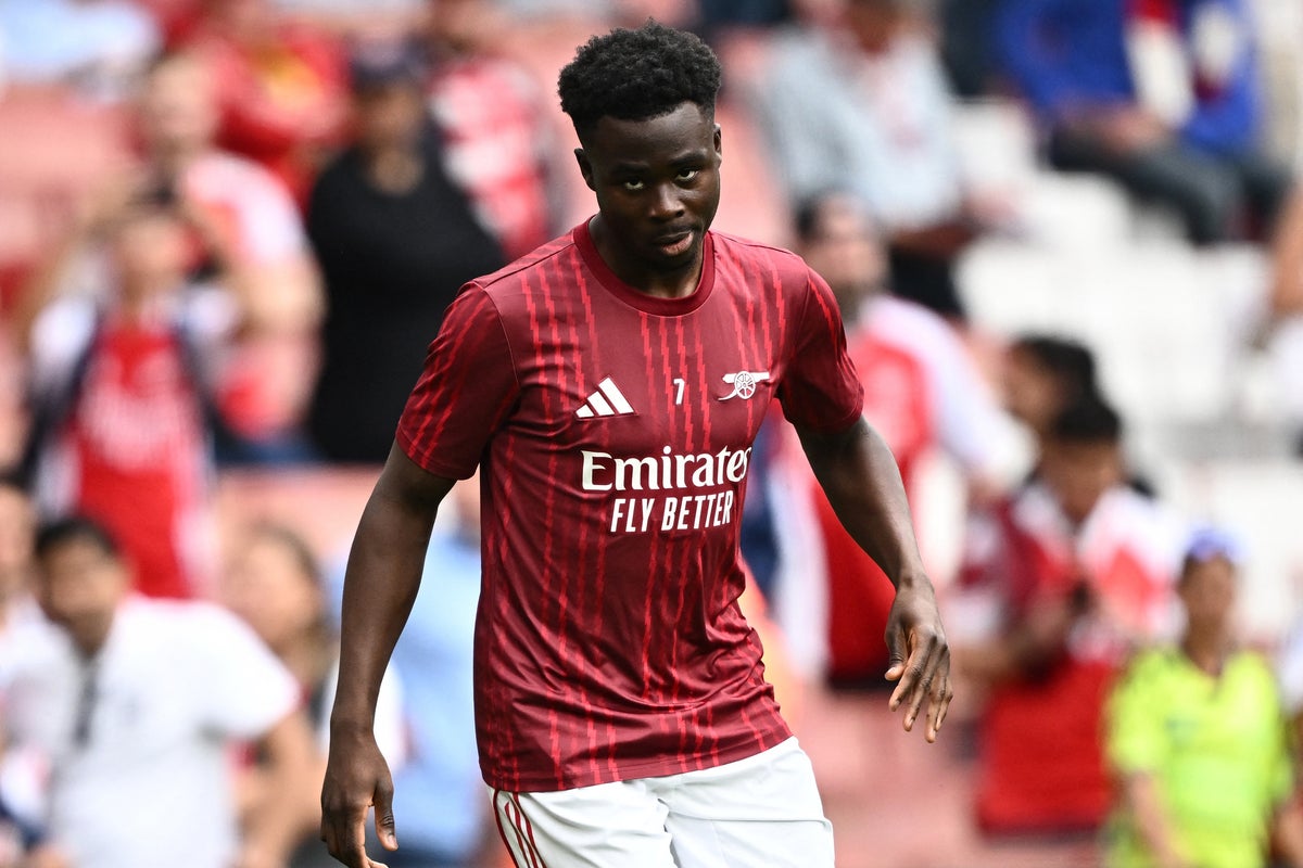 Arsenal vs Fulham LIVE: TV channel, newest rating and updates from Premier League sport right this moment