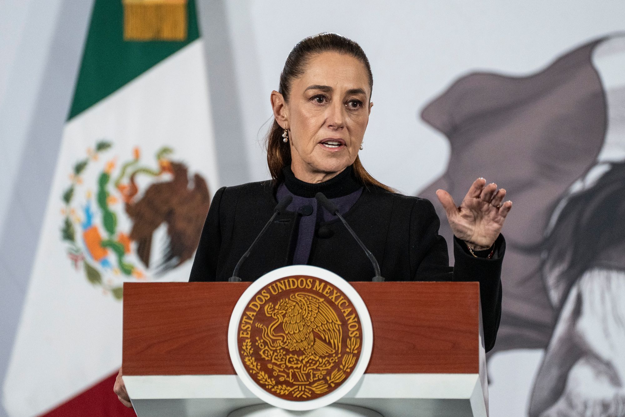 Trump called Mexican President Claudia ‌Sheinbaum a ‘beautiful woman’ and admitted ‘she’s not too fond of me’