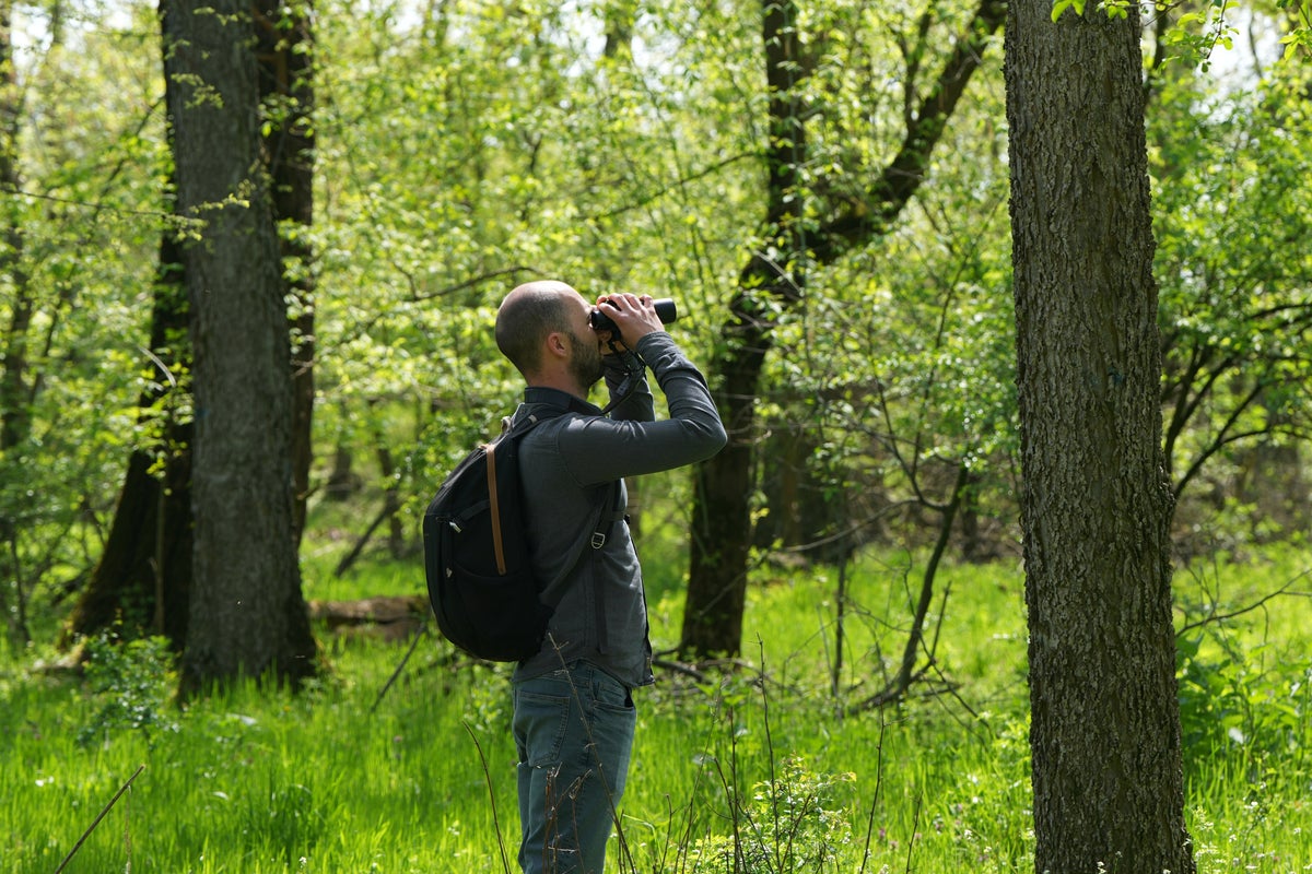 A Serbian bird-watching group uses crowdfunding to buy and preserve a woodland habitat
