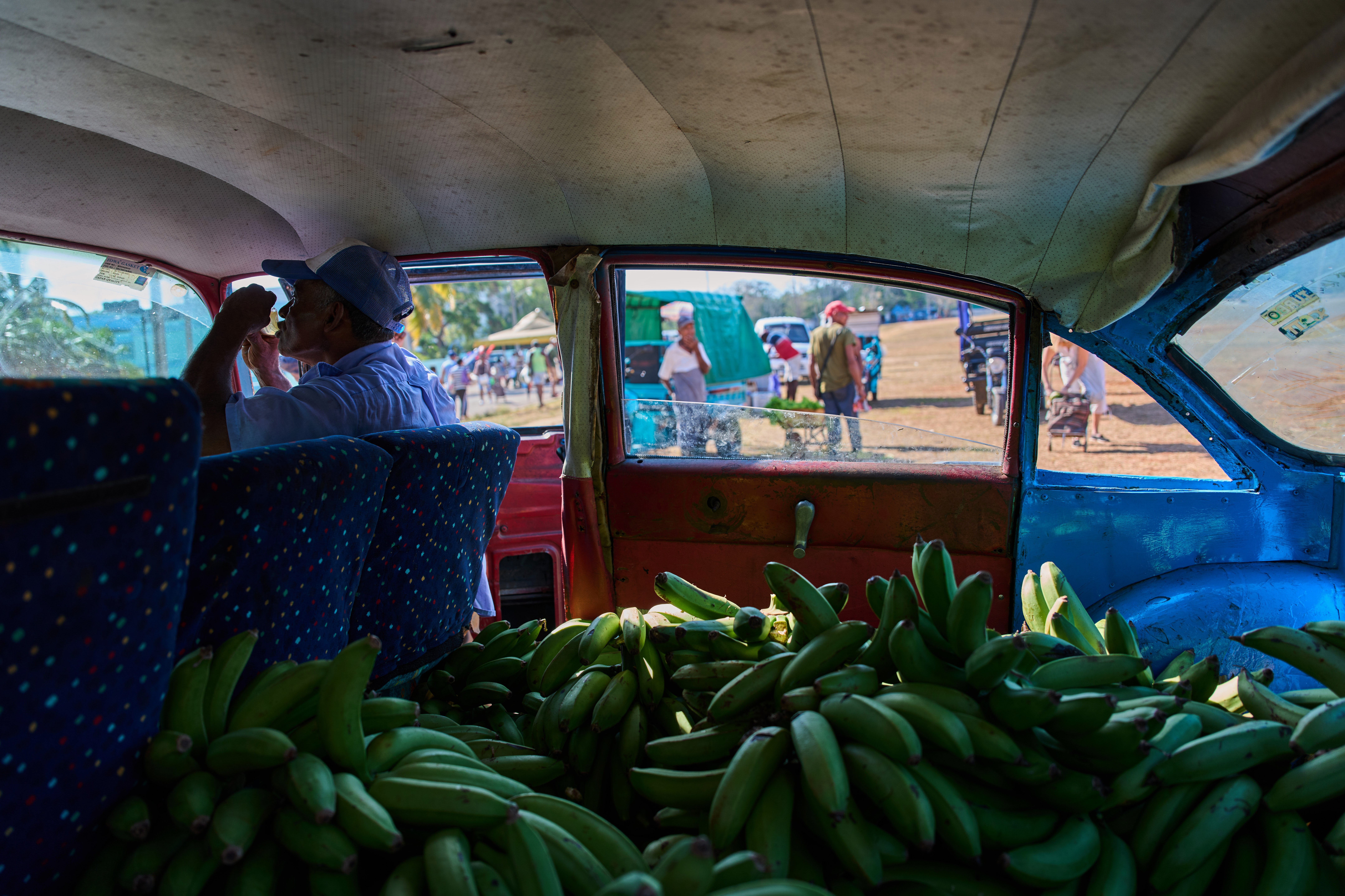 A vendor sits in the passenger seat of an American classic car, its back seat filled to the brim with bananas, while waiting for customers at a produce fair in Alamar, Havana province, Cuba, Saturday, May 2, 2026. (AP Photo/Ramon Espinosa)
