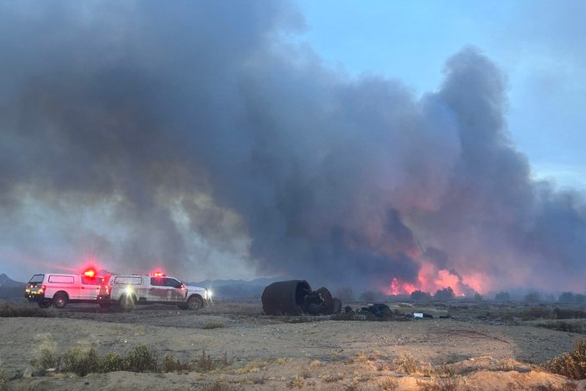 Arizona Wildfire Crisis Exposed as a Failure of Forest Management