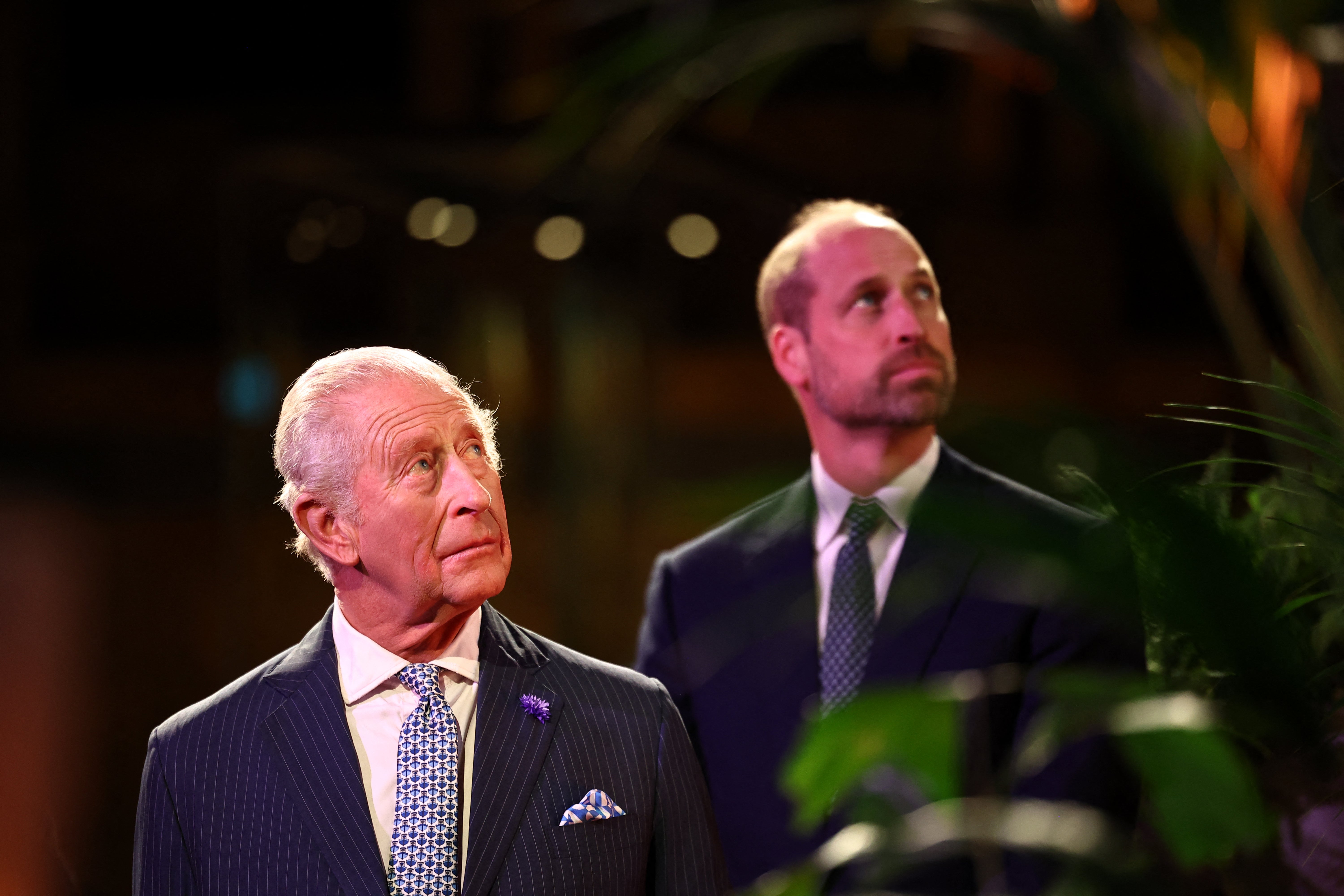 Prince William and his father King Charles have both championed the cause for tackling climate change