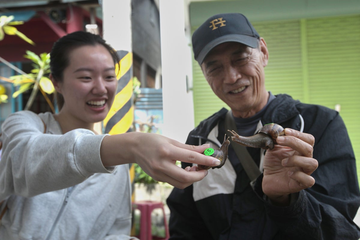 Taiwan town rocked by earthquakes turns to snail racing to revive tourism