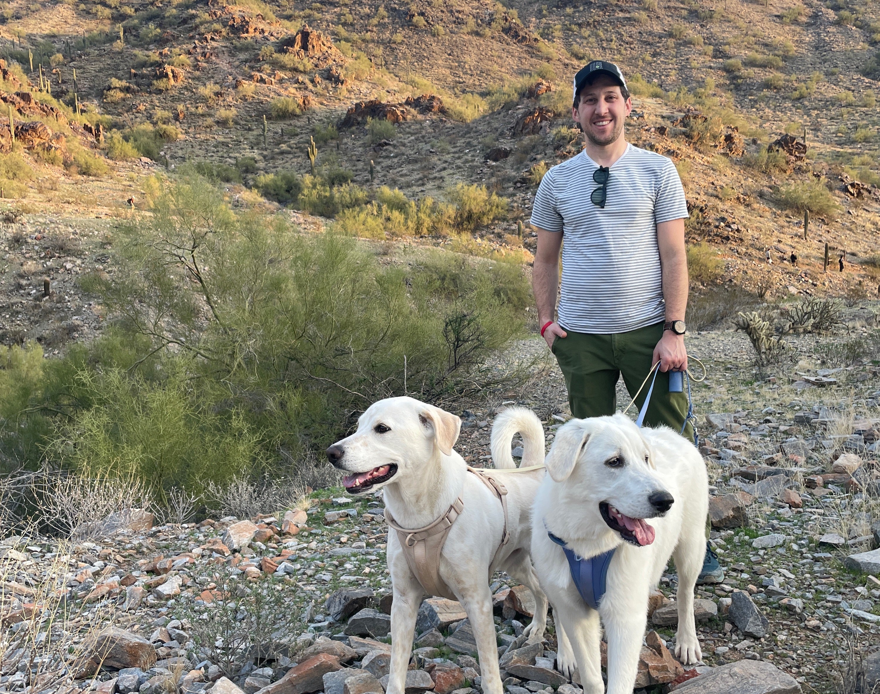 Noah Snyder-Mackler stands with his two dogs while out on a hike. Homer, a mix, appears on the left. Juno, a Great Pyrenees, looks to the right of the frame