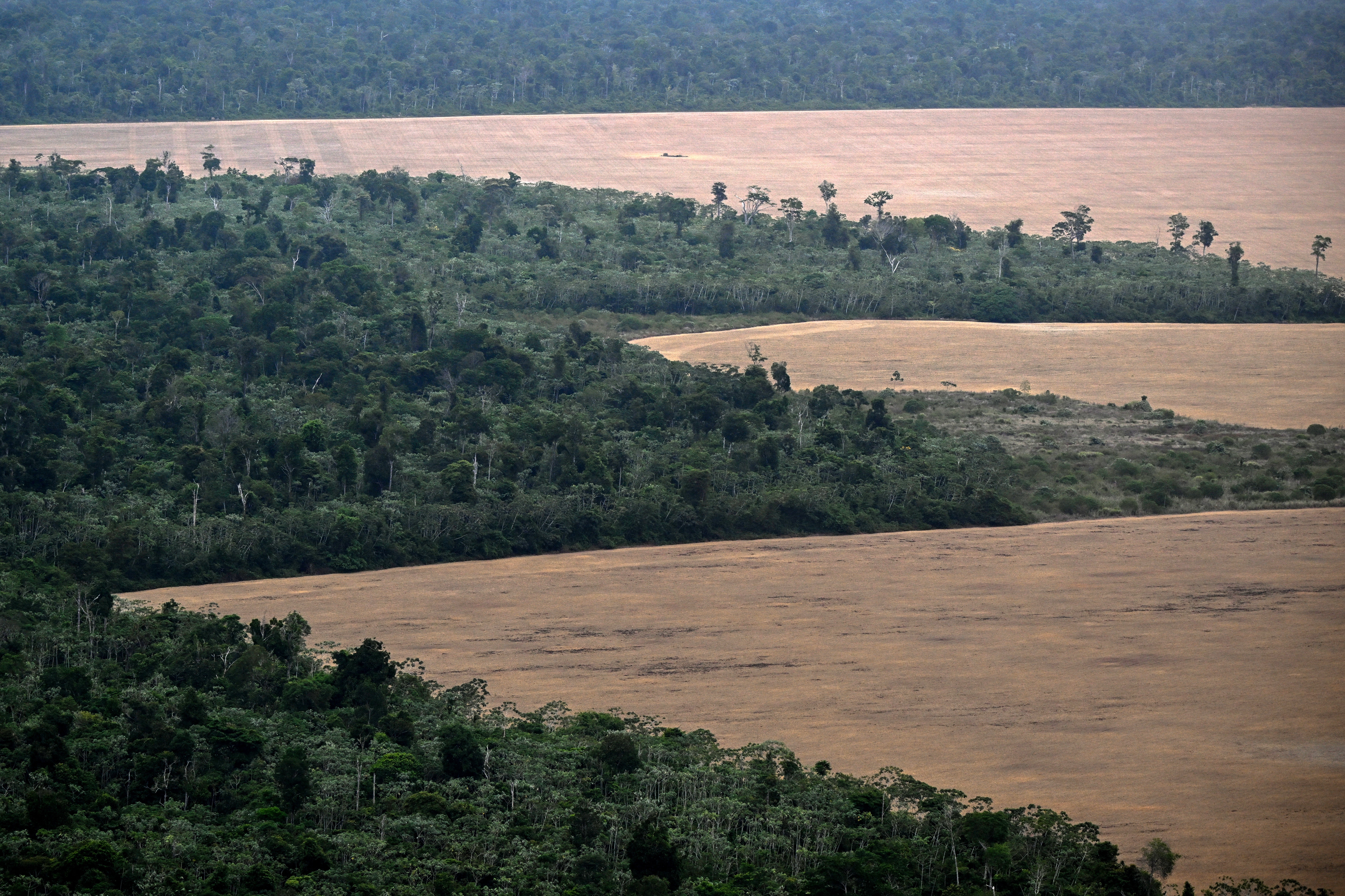 In 2023, Amazon Conservation teamed up with Earth Genome and the Pulitzer Center to develop the Amazon Mining Watch, a platform that uses satellite imagery to track mining across the Amazon since 2018