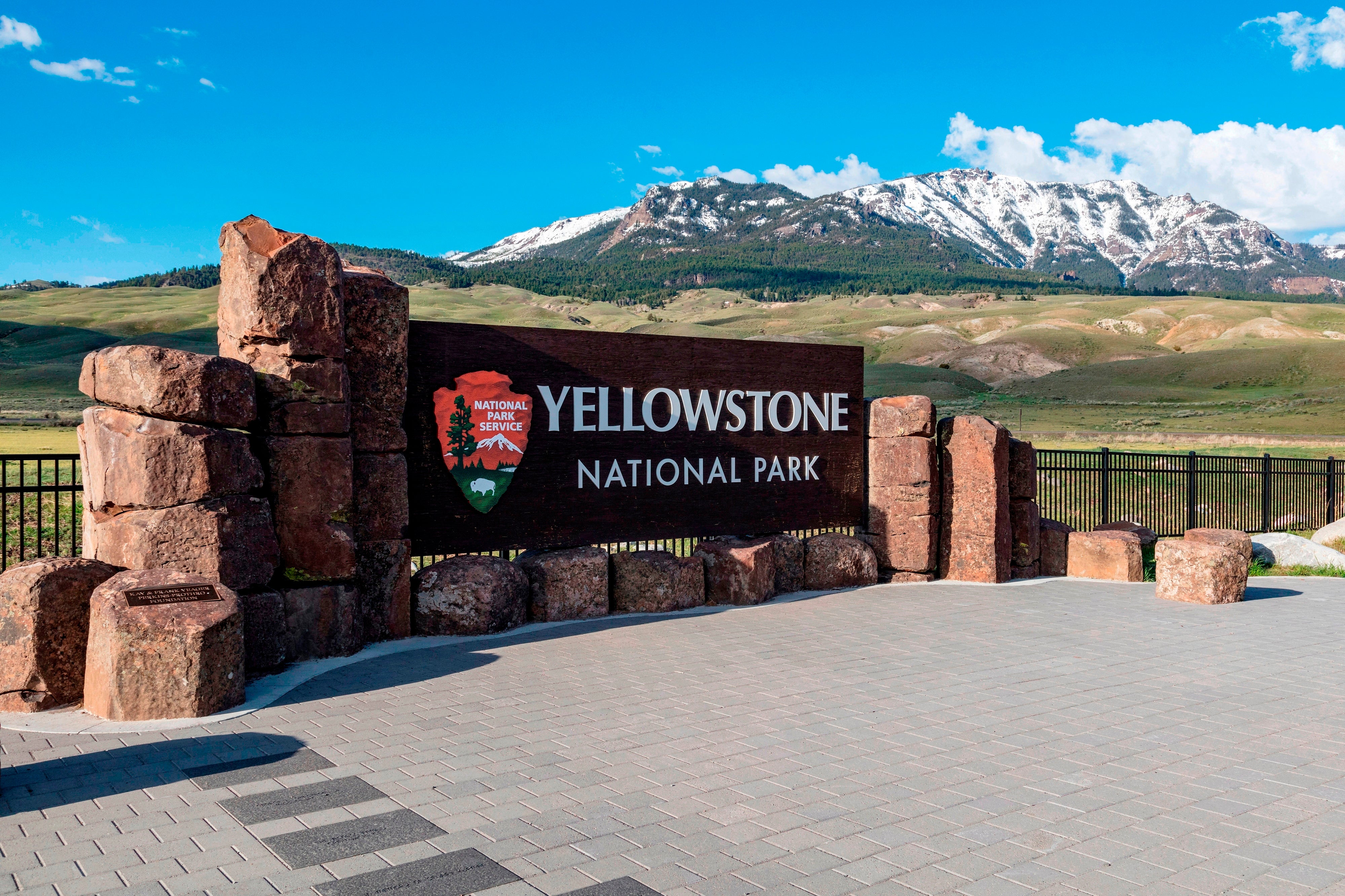 EEUU-YELLOWSTONE-ATAQUE DE OSO
