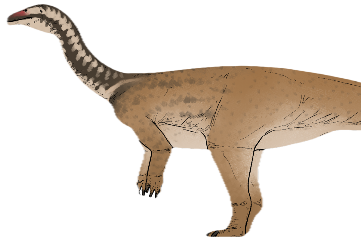 New dinosaur species found in China bridges key gap in evolution of colossal plant-eaters – UK Times New dinosaur species found in China bridges key gap in evolution of colossal plant-eaters – UK Times