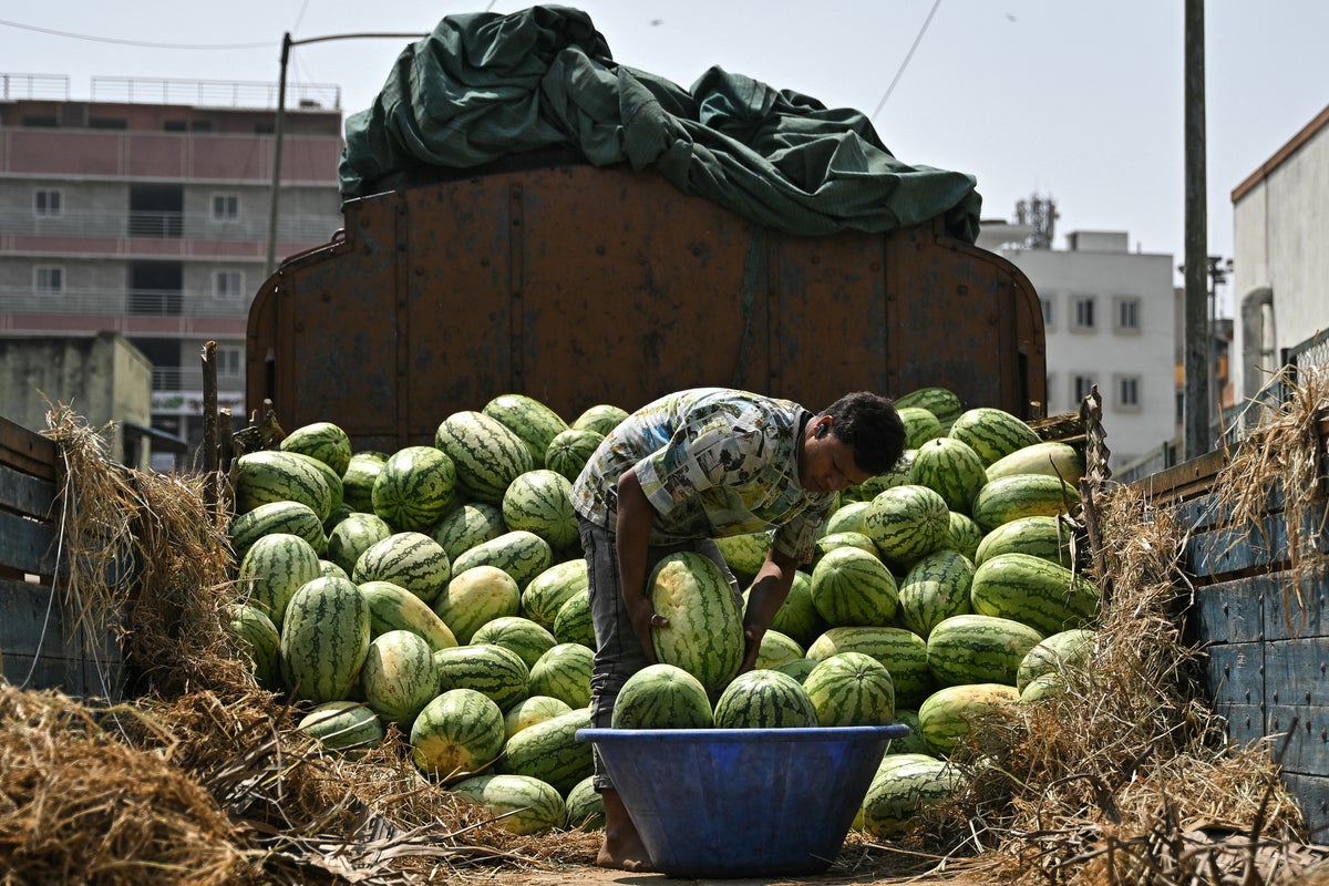 Family of four in India die mysteriously after eating watermelon