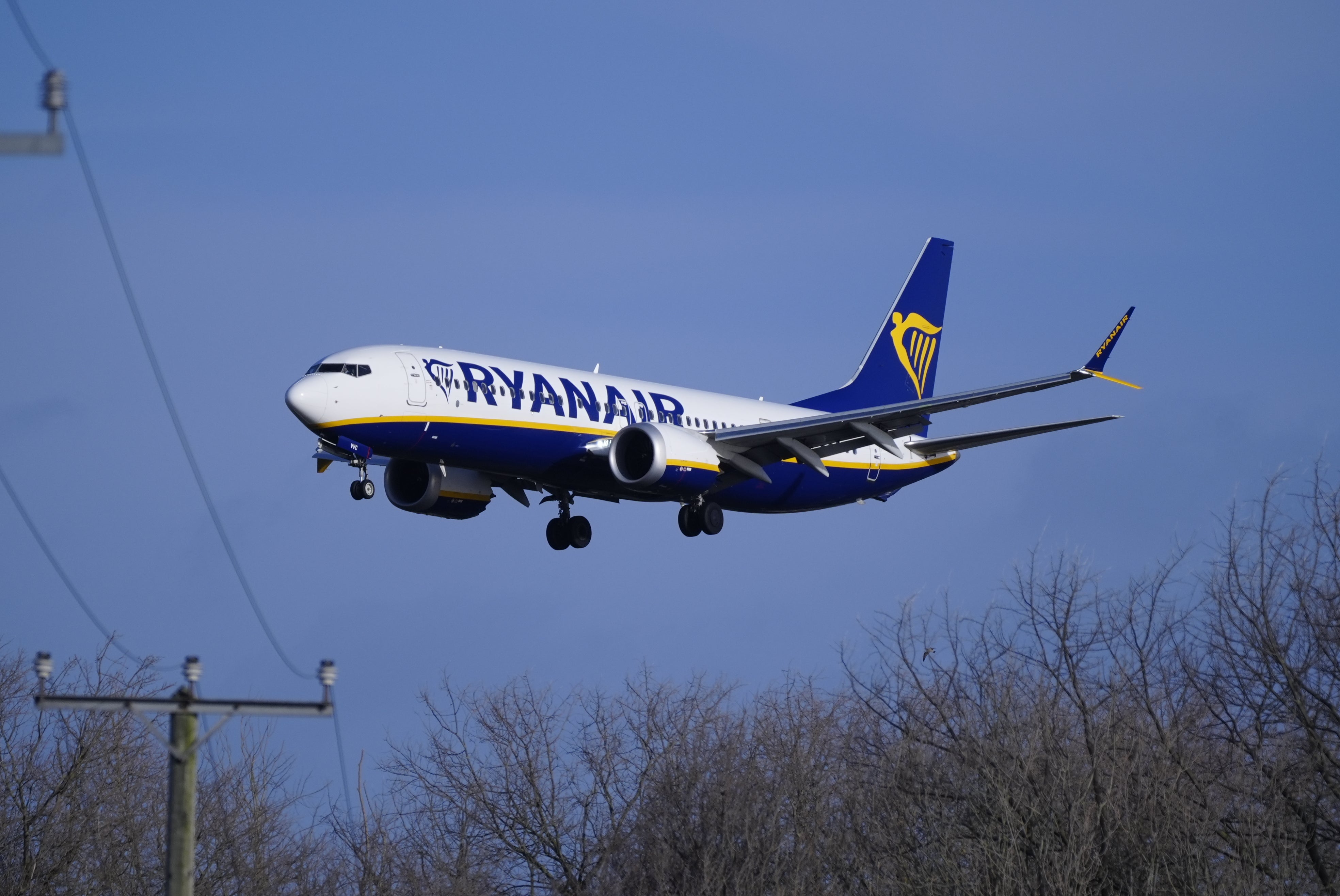 The boss of Ryanair has called for the early morning, pre-flight pint to be banned to stop disruptive behvious