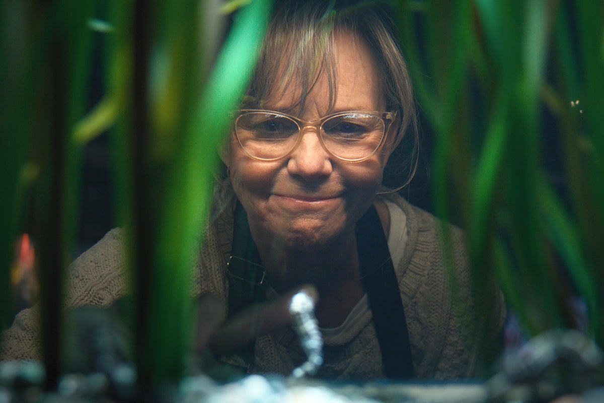 Remarkably Bright Creatures review – this Sally Field Netflix movie needs more talking octopus