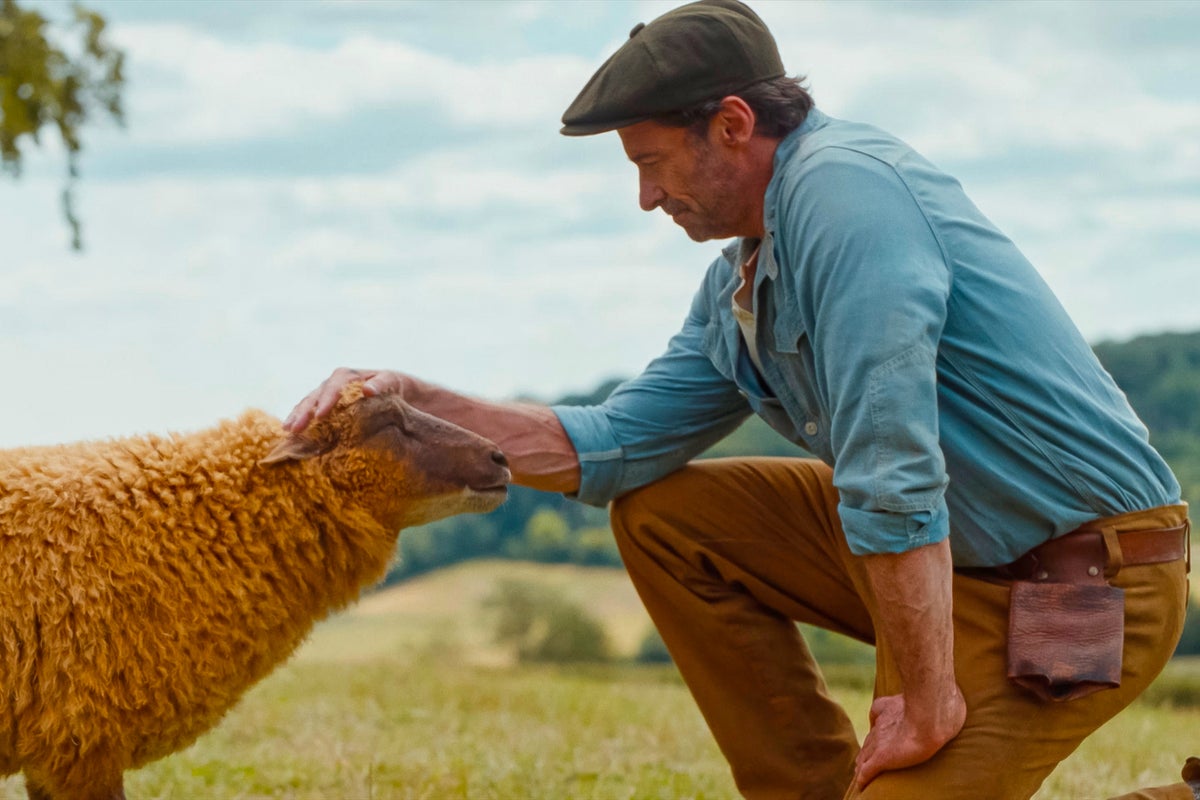 ‘The Sheep Detectives’ is the starry, family-friendly whodunnit you didn’t know you needed thumbnail