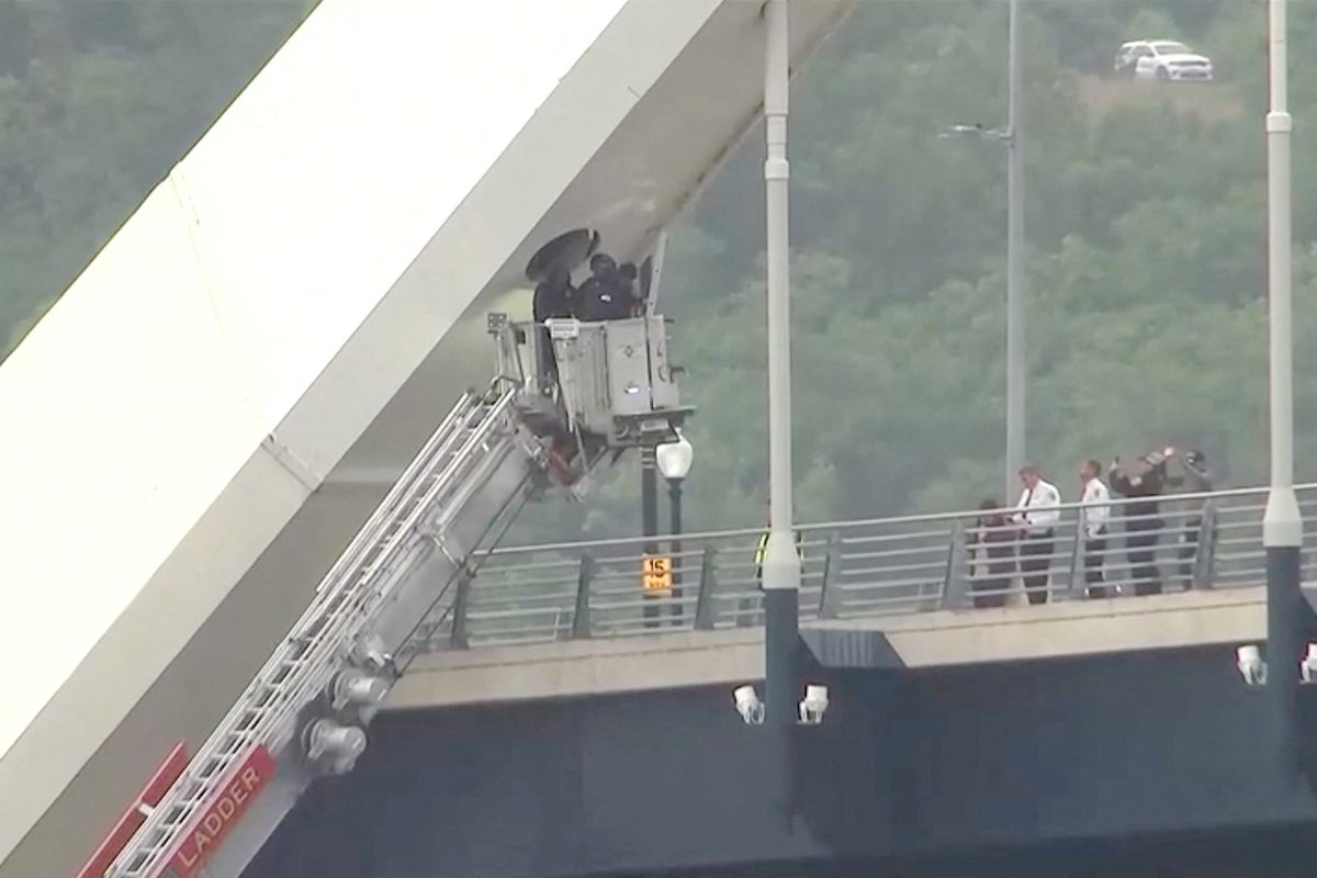 Guido Reichstadter: Florida activist finally comes down from DC bridge five days into protest – UK Times
