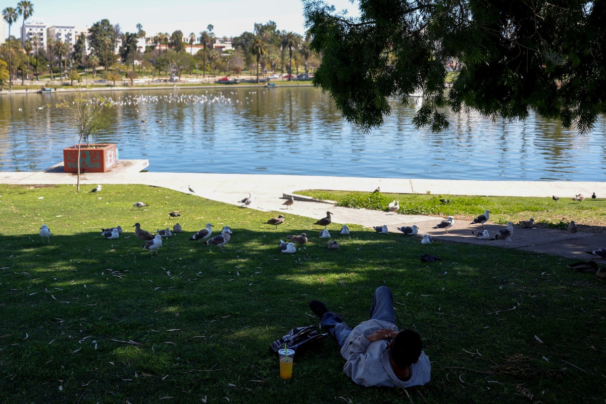 Federal authorities arrest 18 for alleged drug distribution around Los Angeles park – UK Times