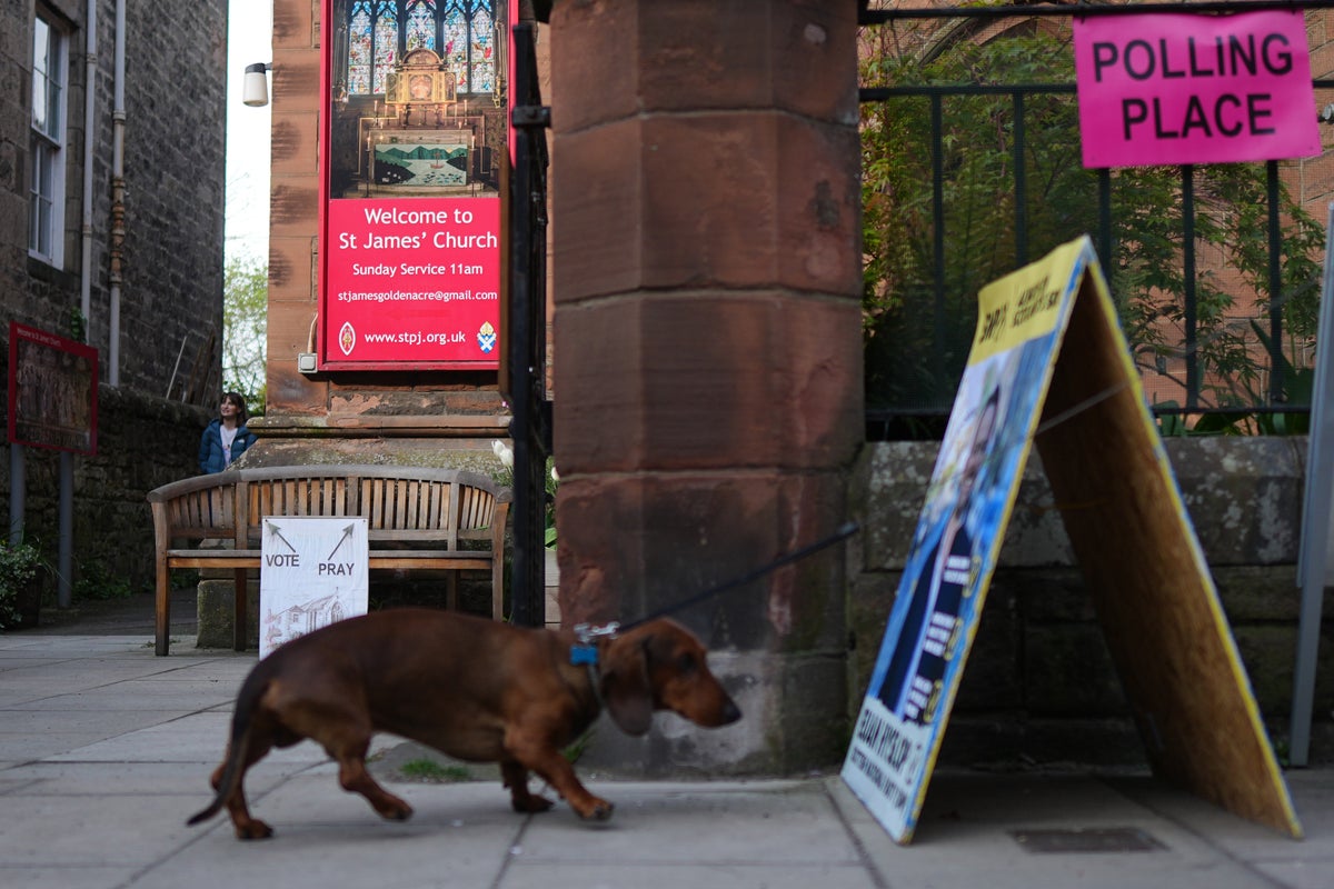 Pictured: The best dogs at polling stations as millions get voting