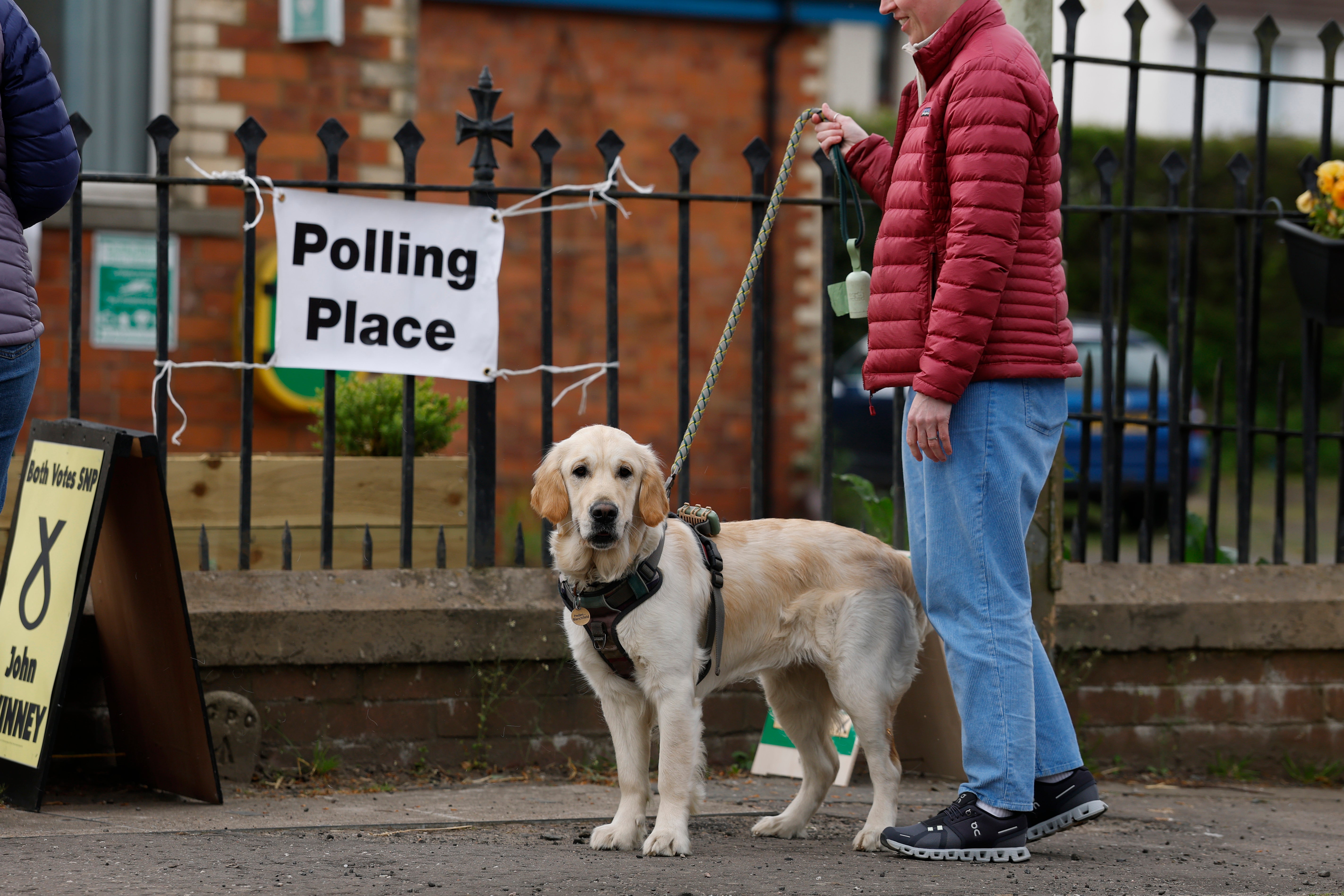 A well-behaved hound caught the phoographer’s eye in Burrelton