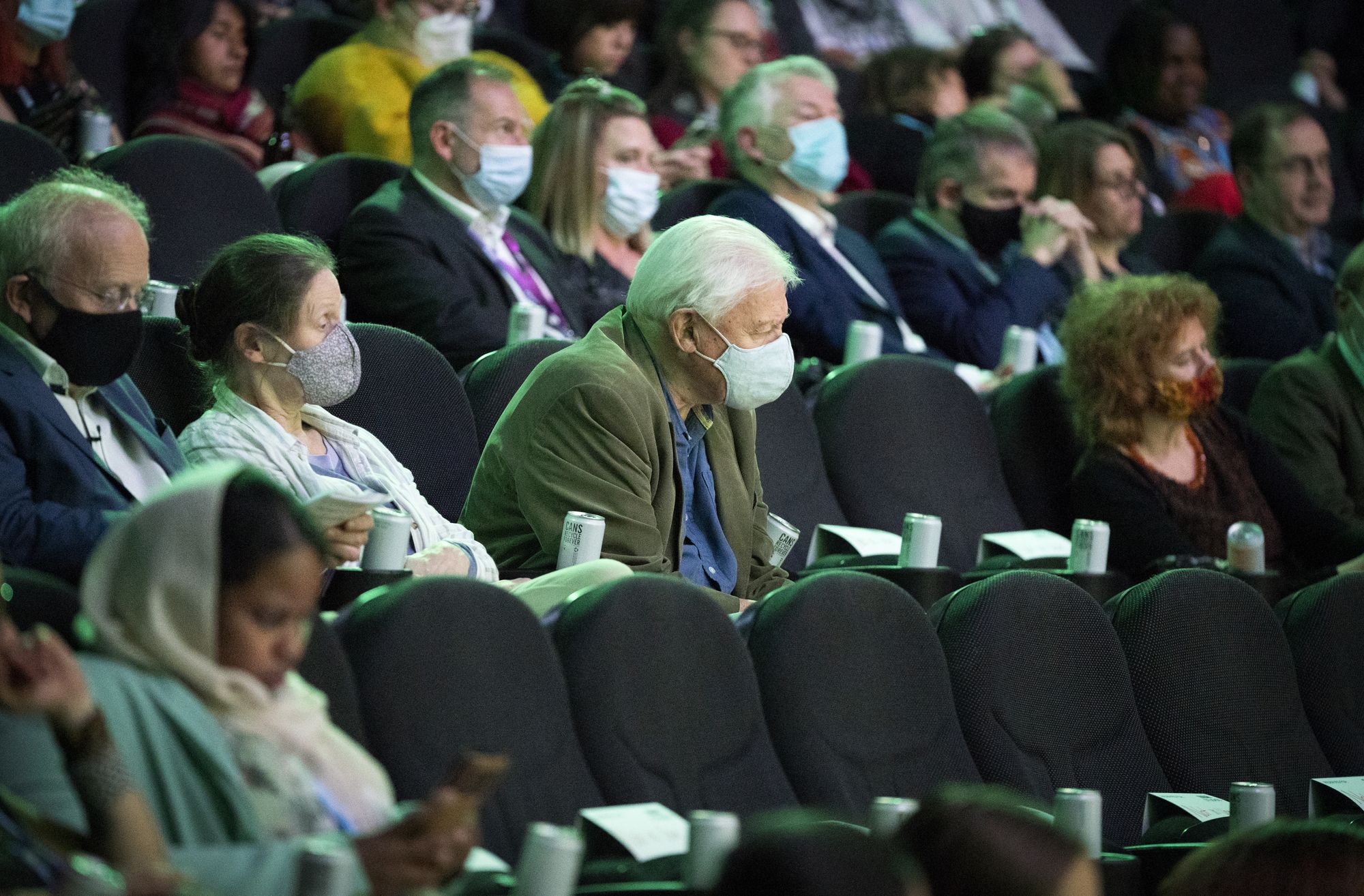 Sir David Attenborough comparece à estreia de Green Planet.