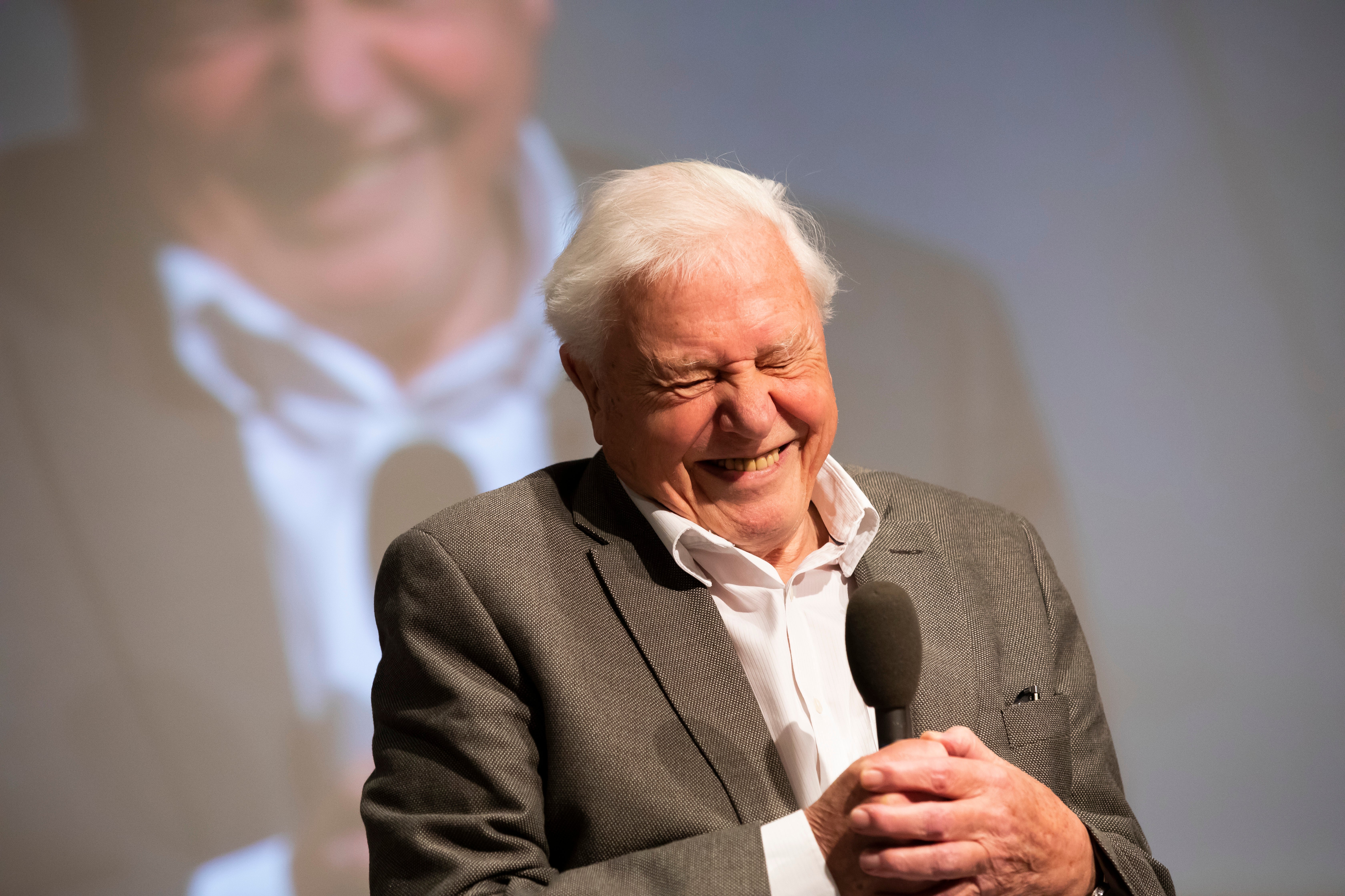 David Attenborough - latest news, breaking stories and comment - The  Independent