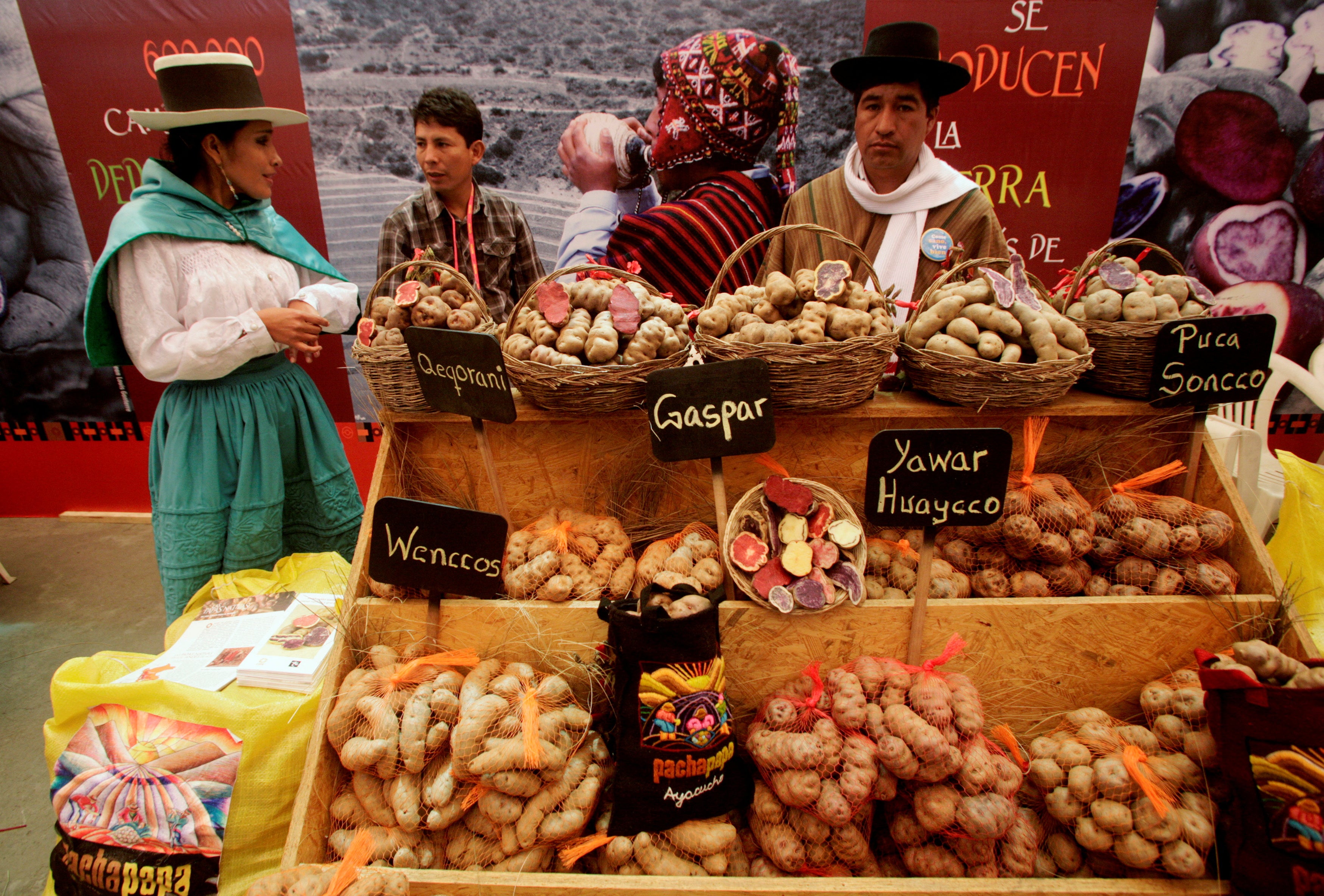 Farmer sell different types of potatoes native to the Andes at the Gastronomic Fair 'Mistura' in Lima September 7, 2010. REUTERS/Mariana Bazo/File Photo