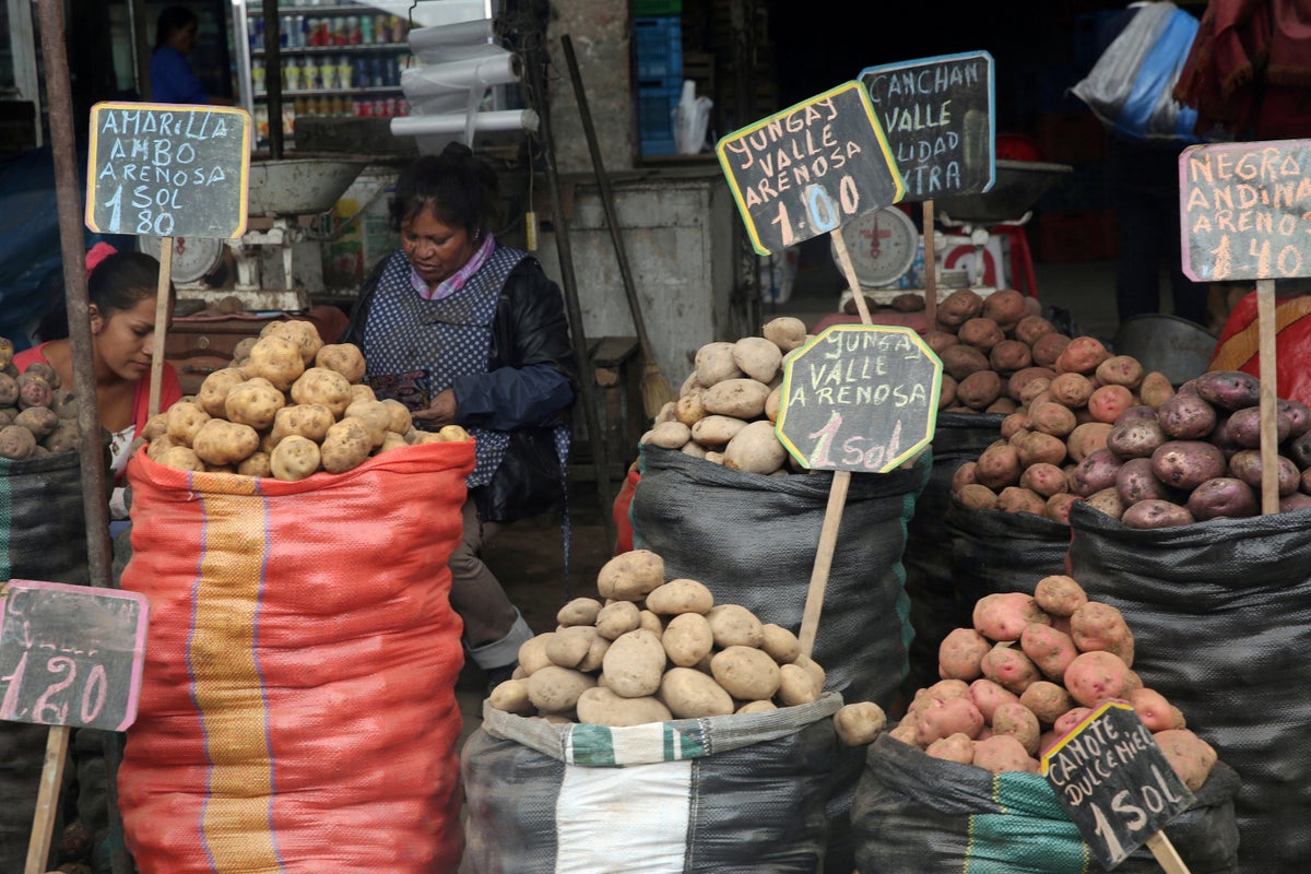 How a potato-based diet changed the genetics of people for generations